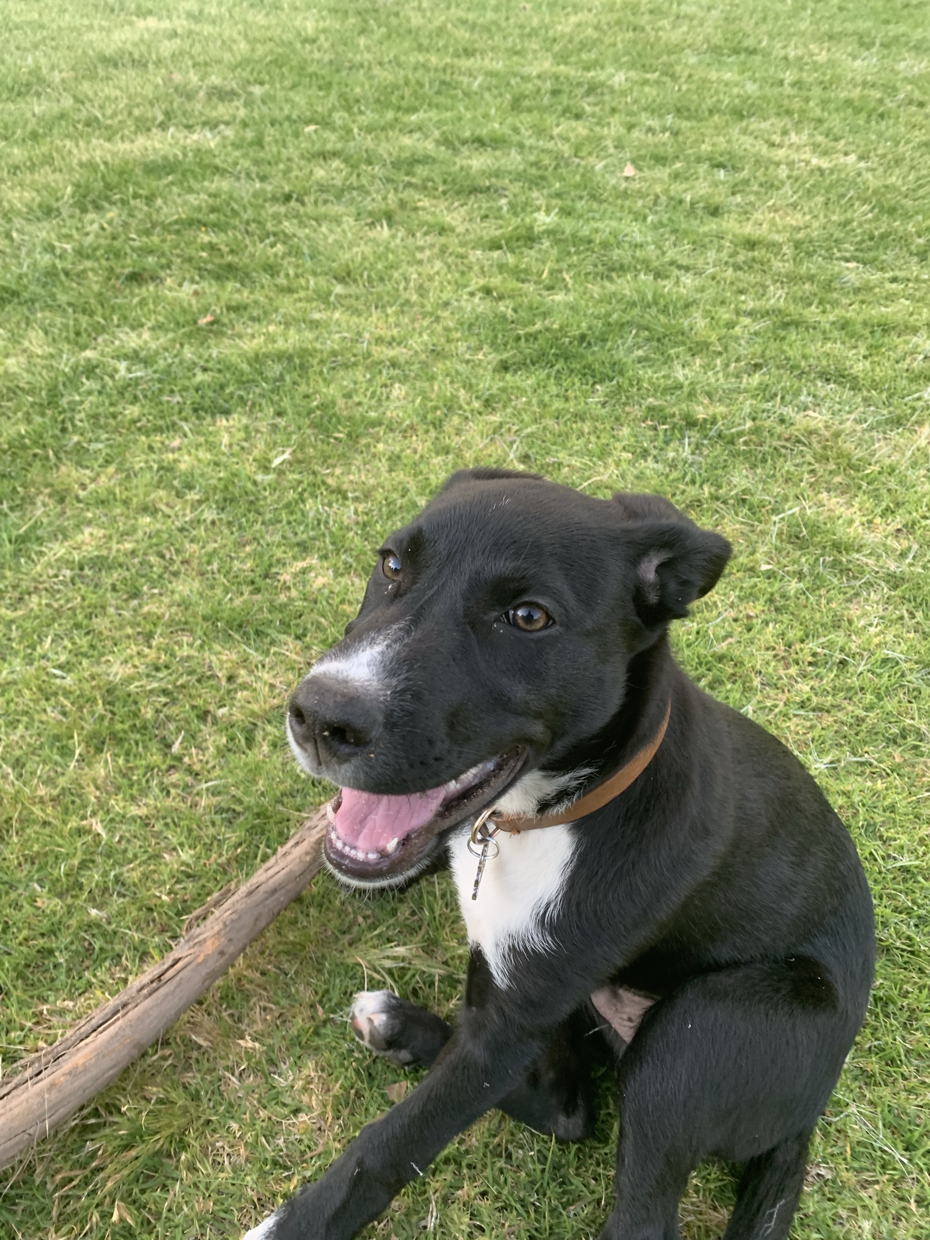 Chidlow Recreation Reserve