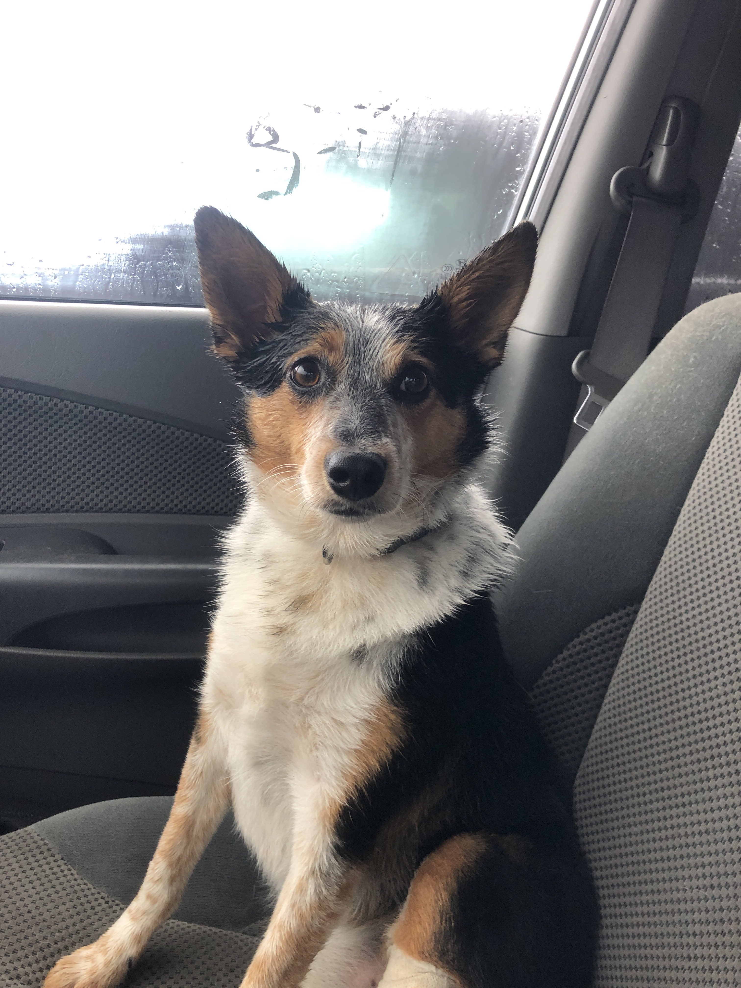 Kenna Cartwright Nature Park - Off-Leash Park