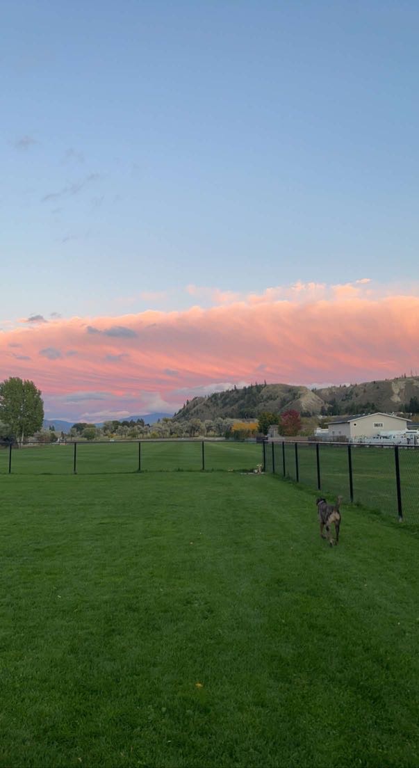 Dallas Park Dog Park