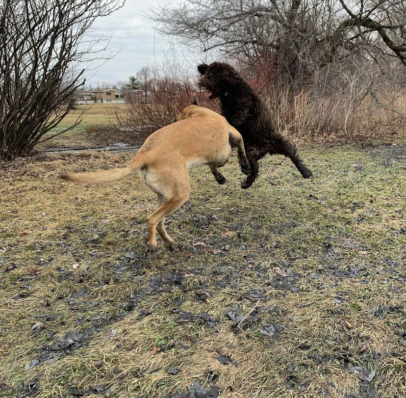Meadowbrook Golf Club (Off Season ONLY)
