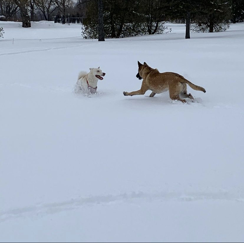 Meadowbrook Golf Club (Off Season ONLY)