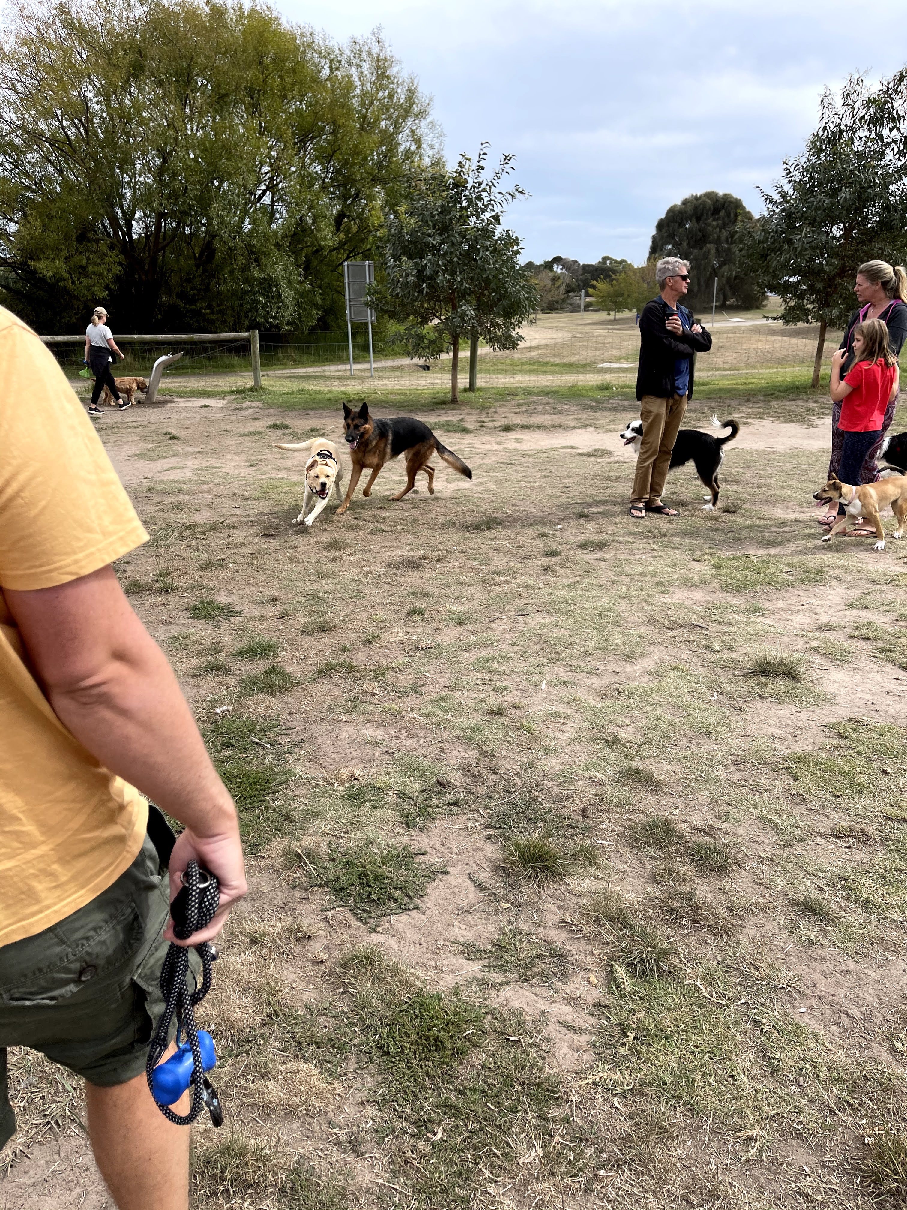 Mornington Civic Reserve Fenced Dog Park