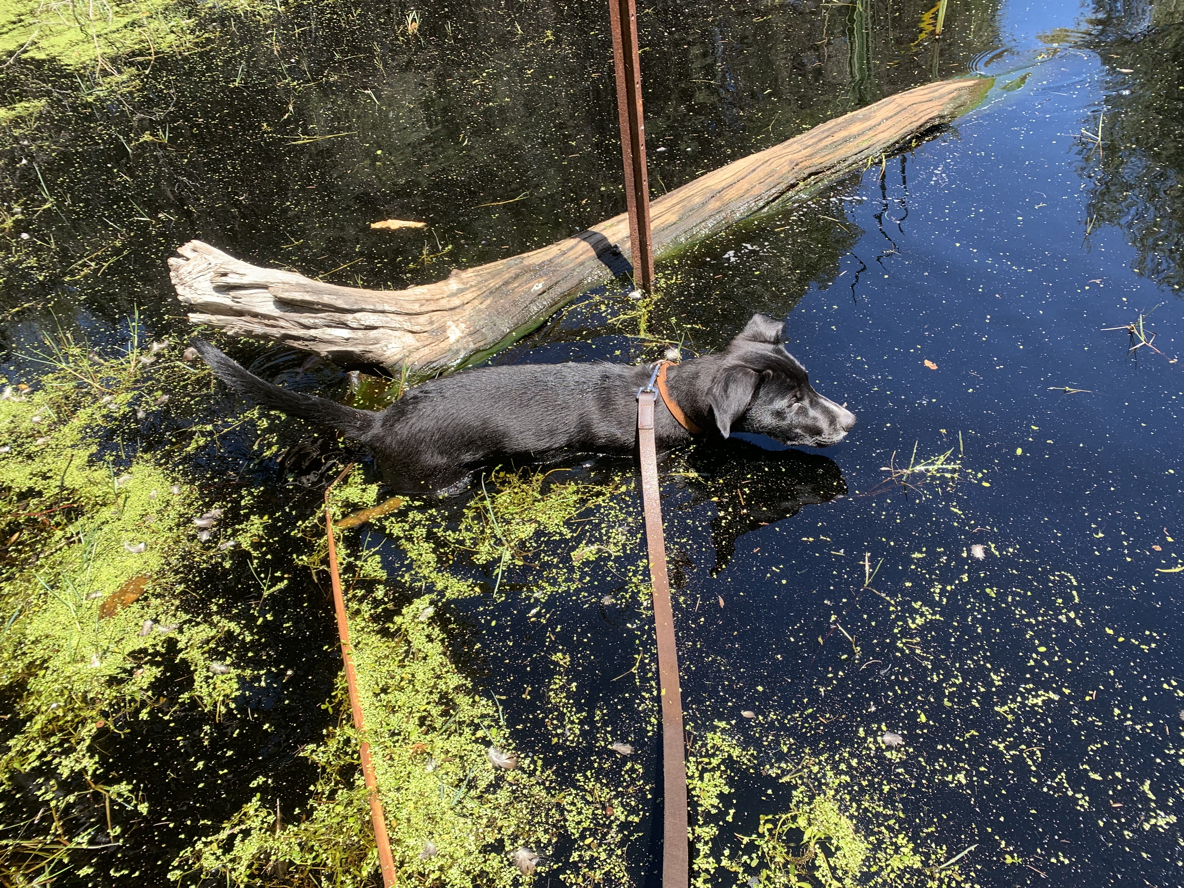 Beeliar Regional Park