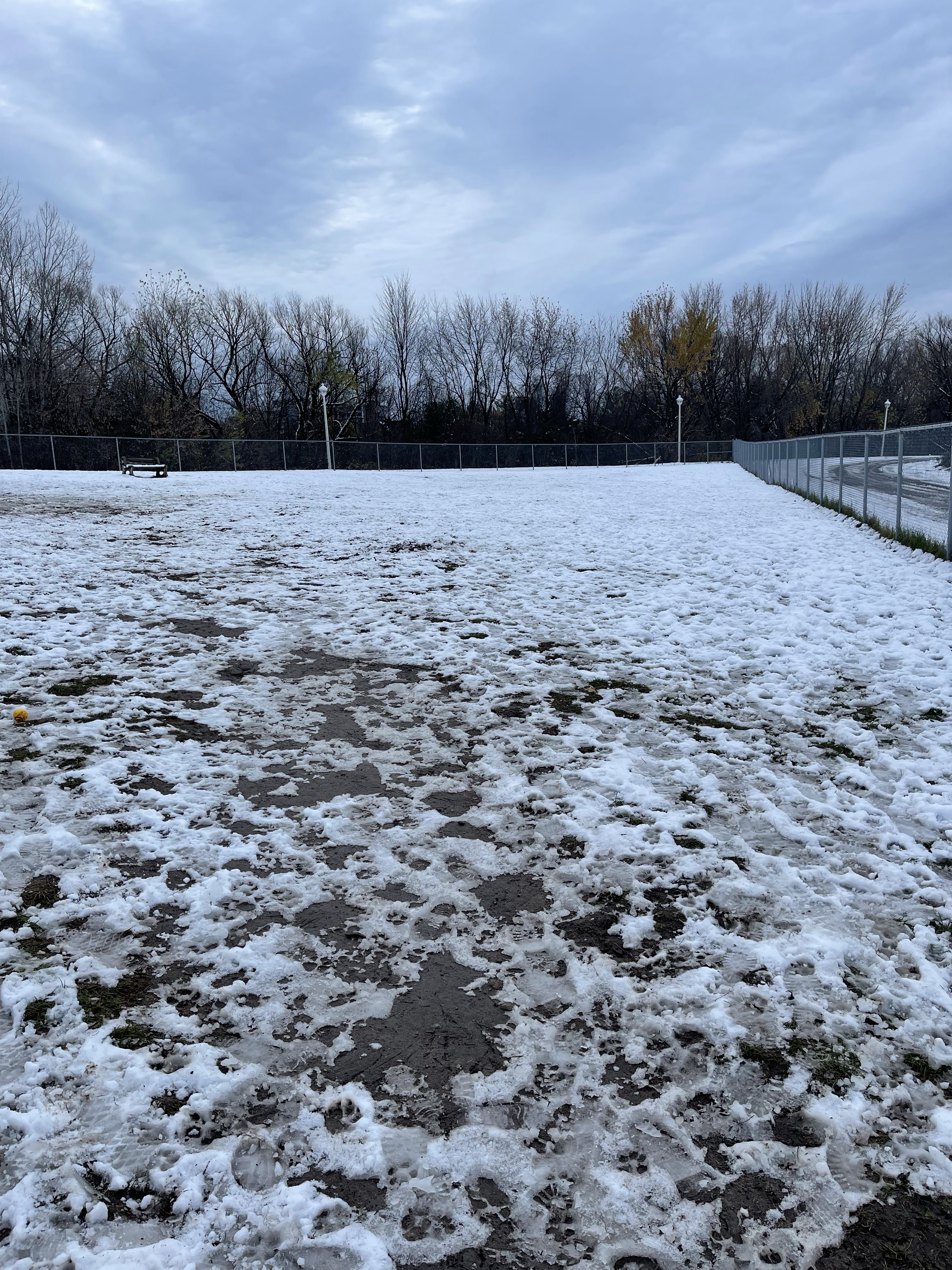 Little Lake Off Leash Dog Park