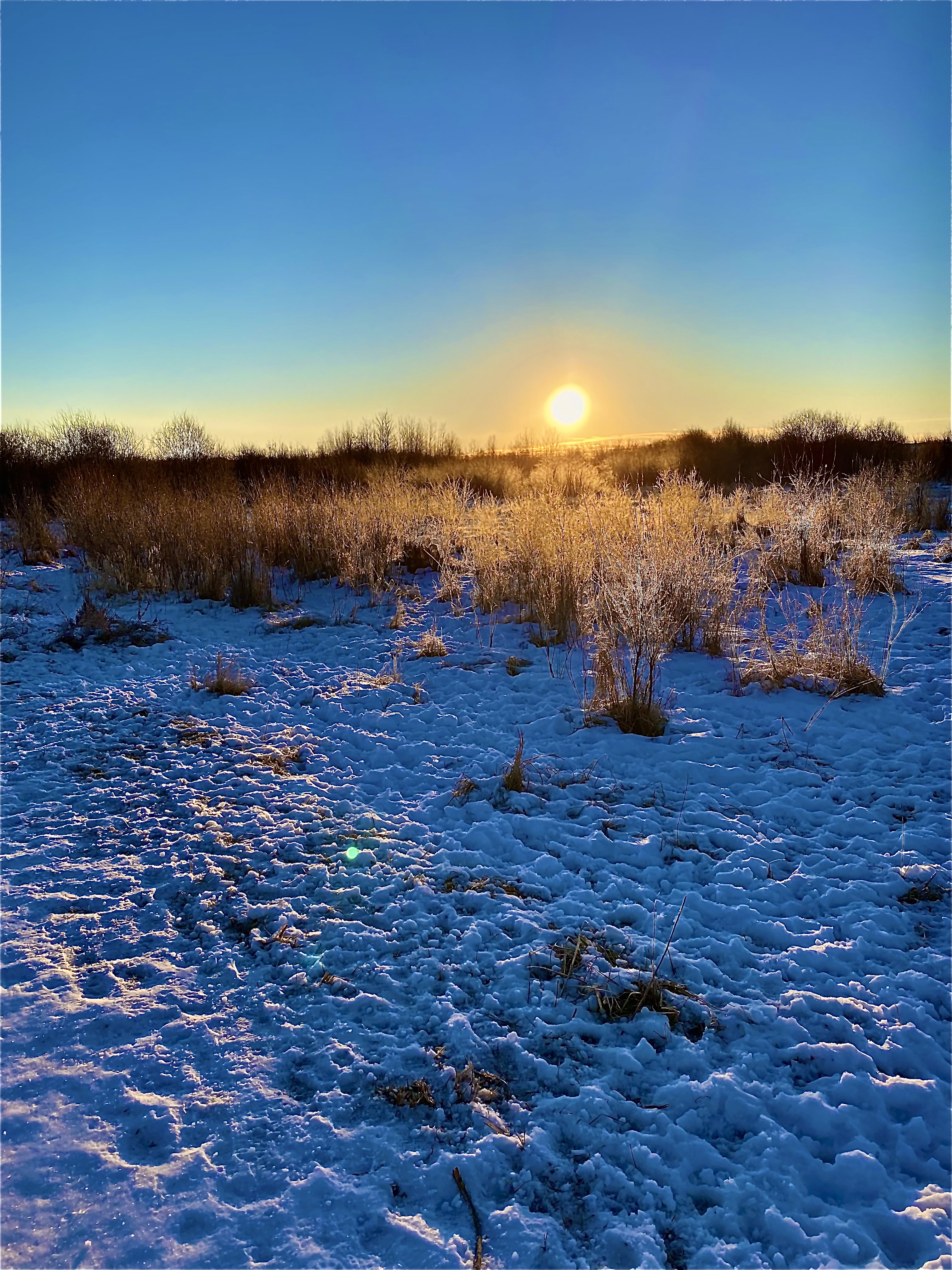 Umbach Off-leash Dog Park
