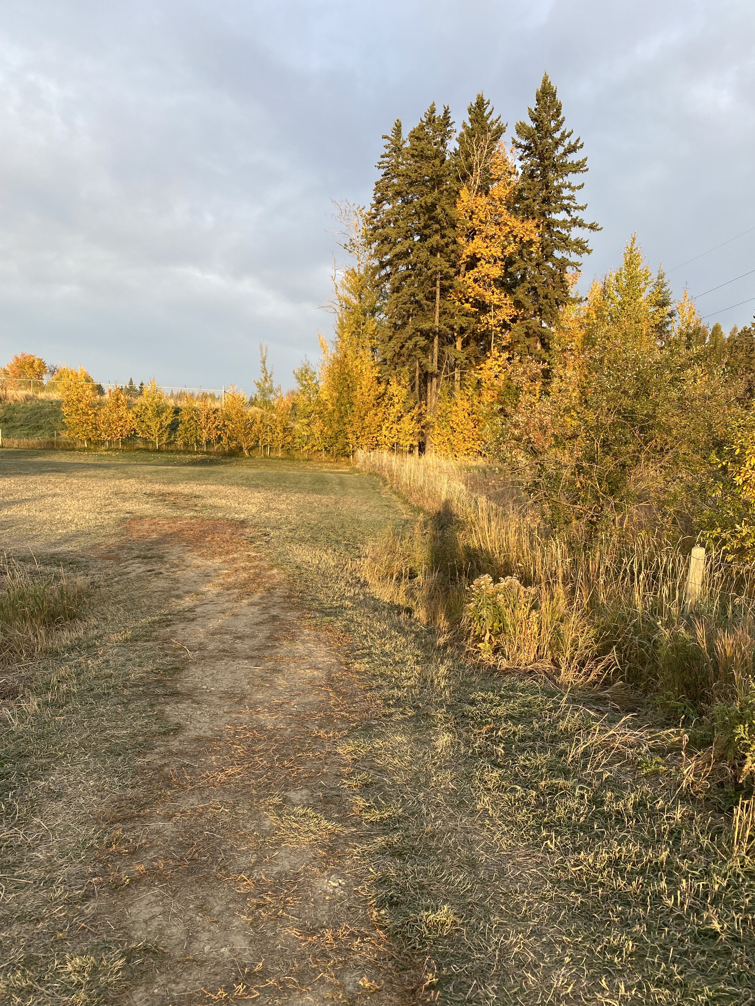Umbach Off-leash Dog Park
