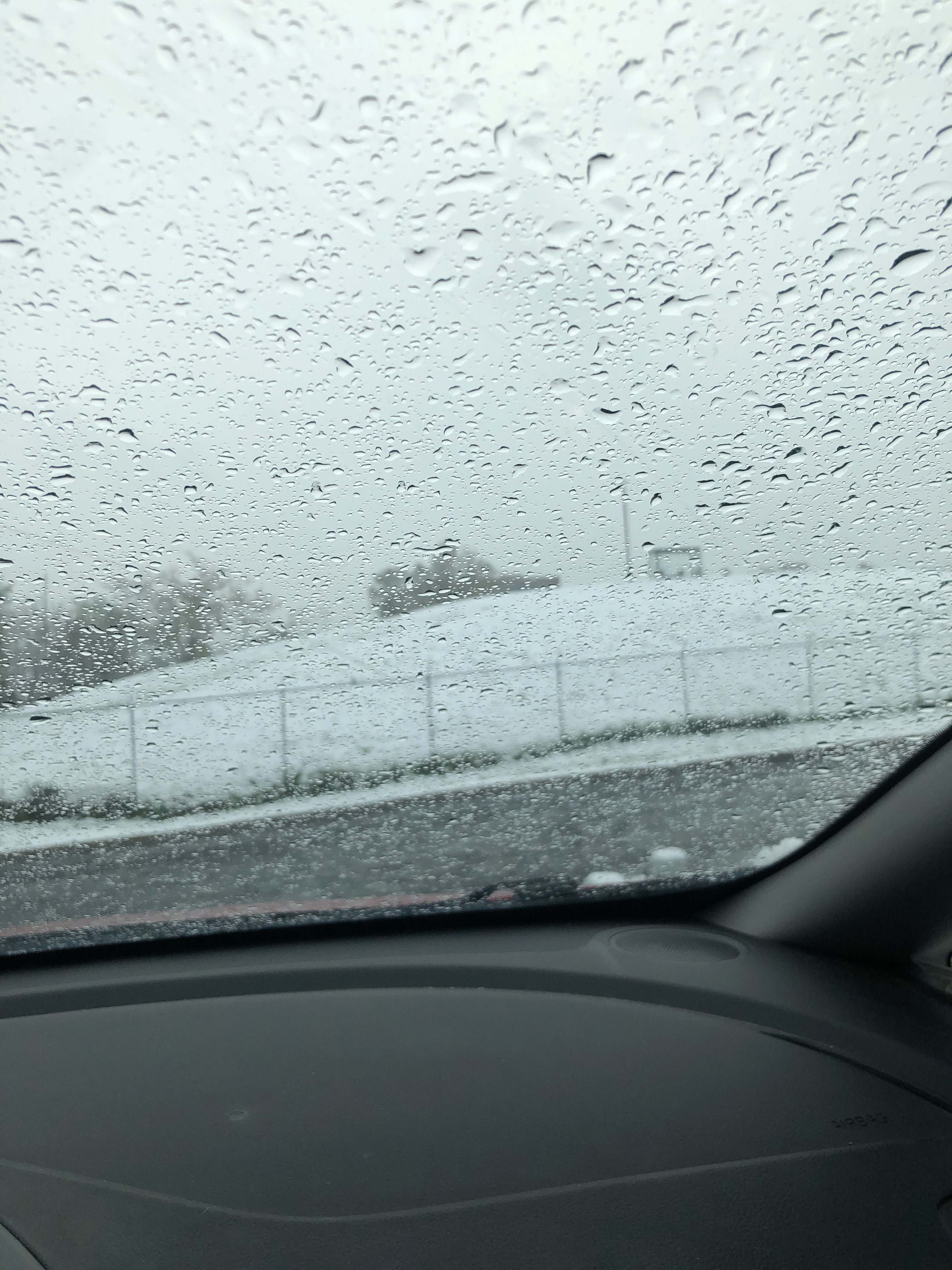 Birch Avenue Dog Park