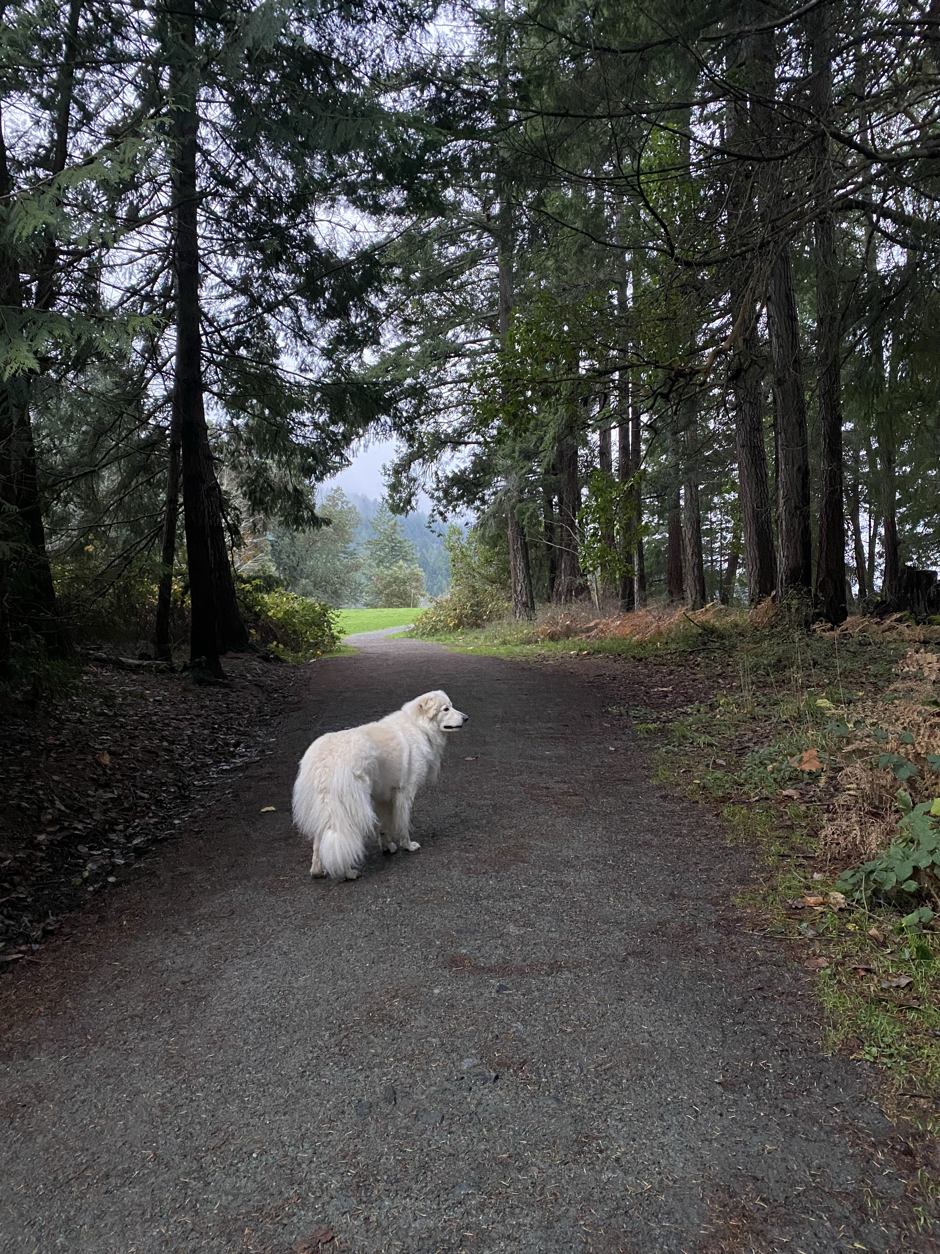 Osborne Bay Regional Park
