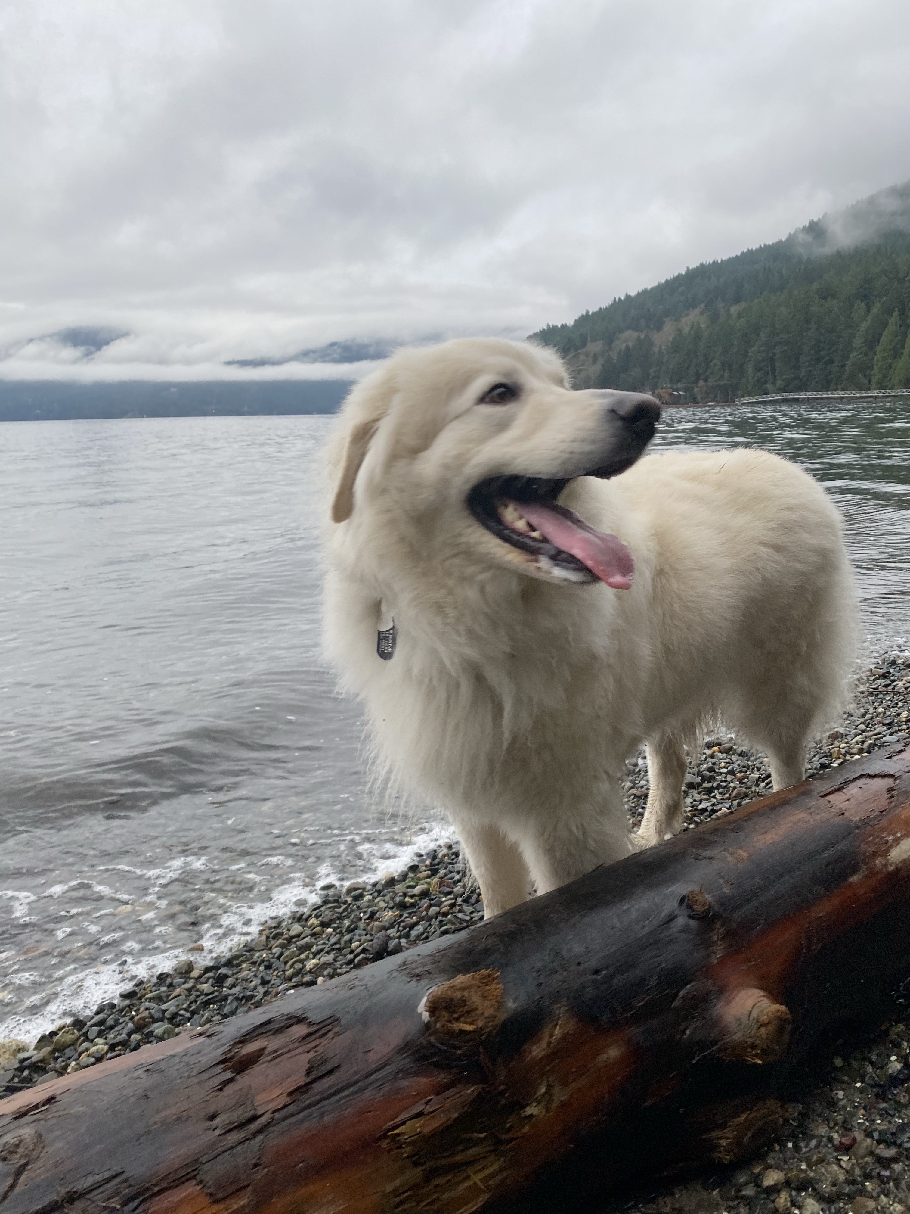 Osborne Bay Regional Park
