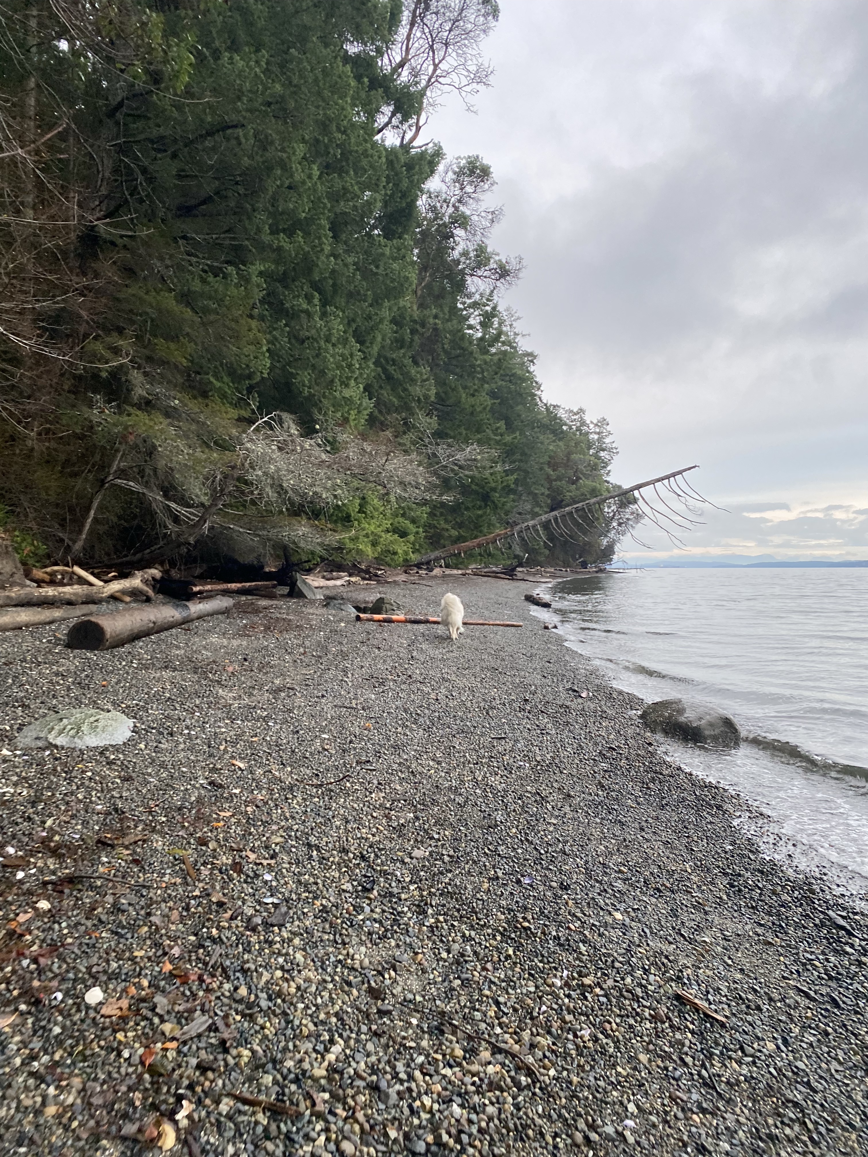 Osborne Bay Regional Park