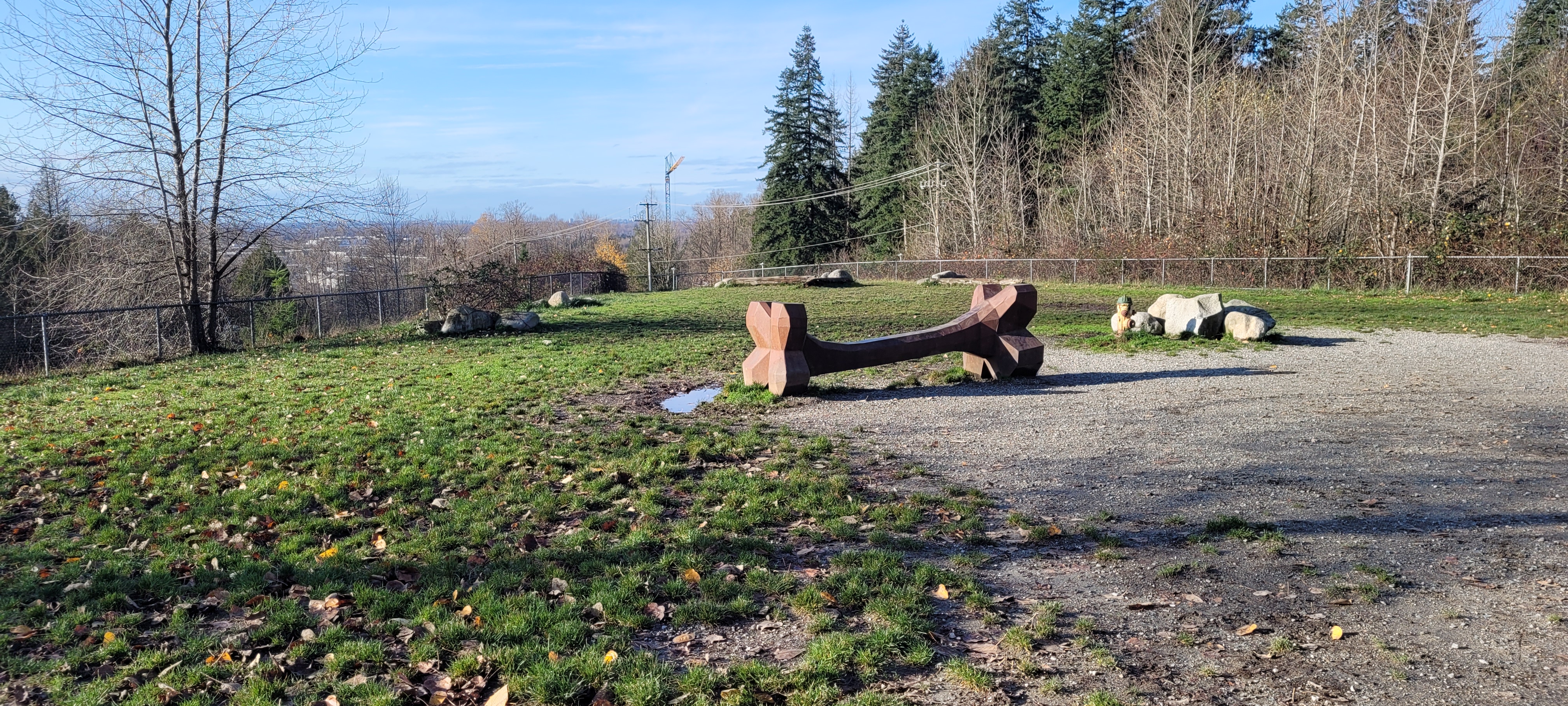 Taylor Park- Off-Leash Dog Park