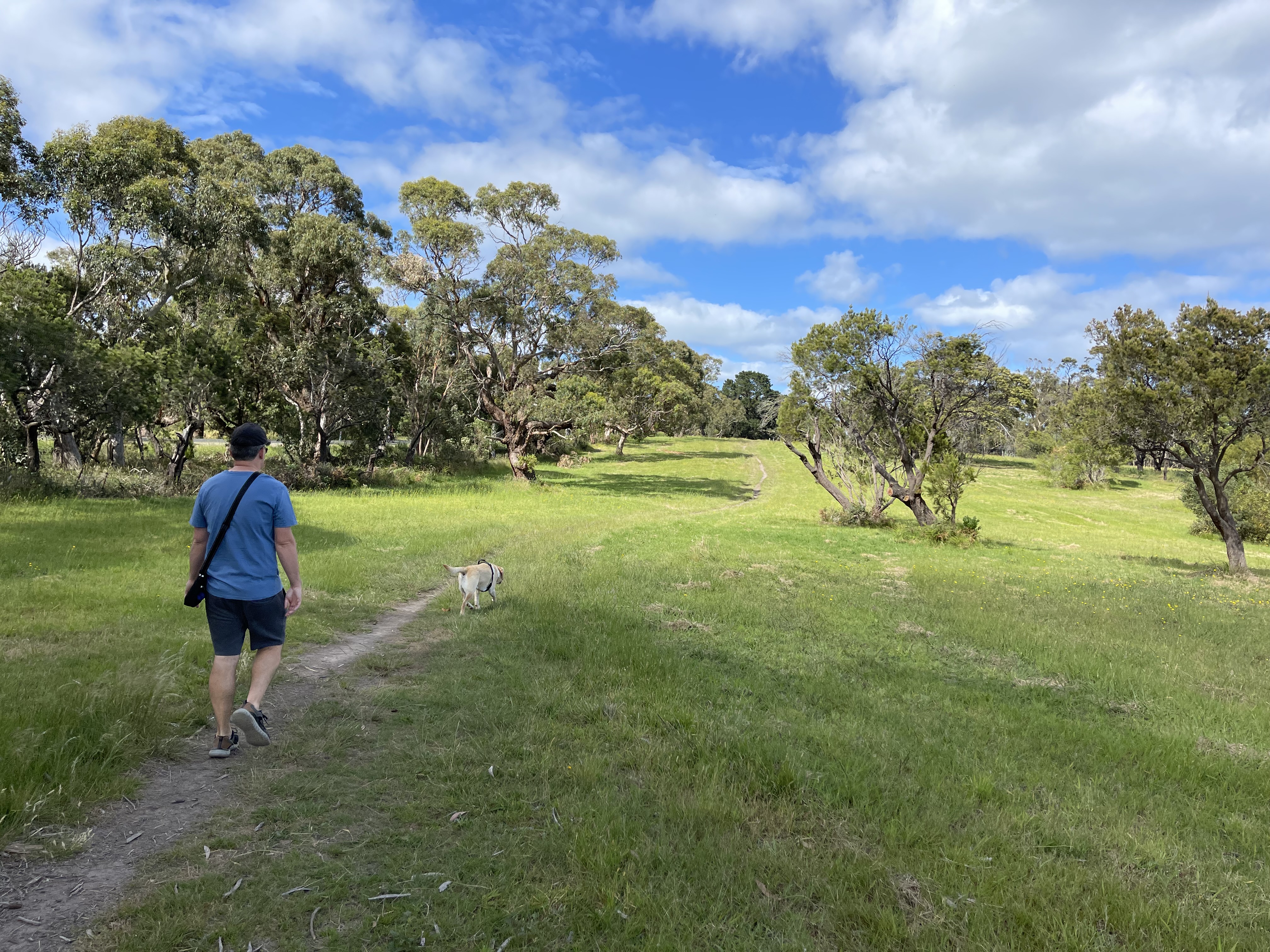 Mount Martha Scrubland