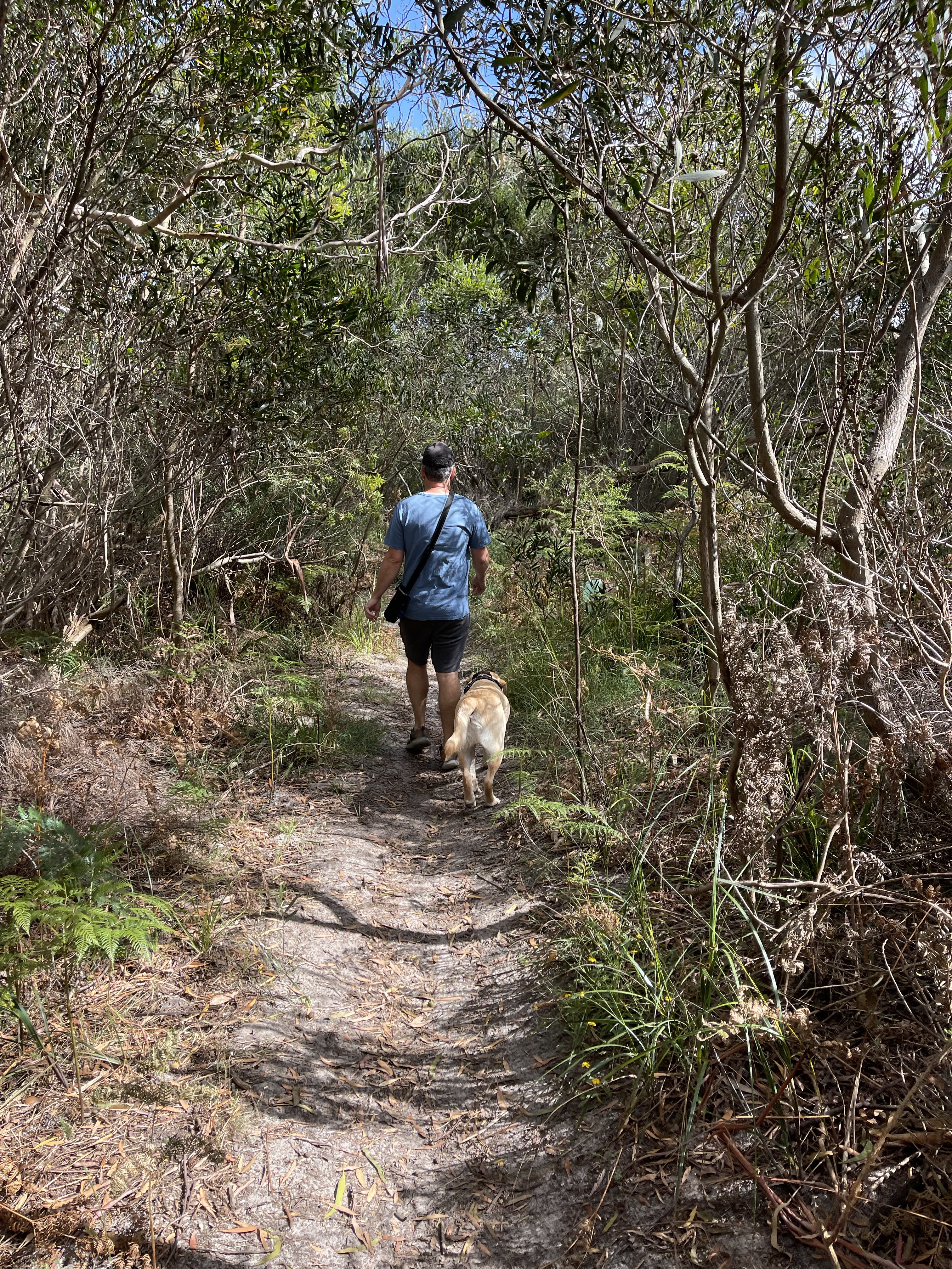 Mount Martha Scrubland