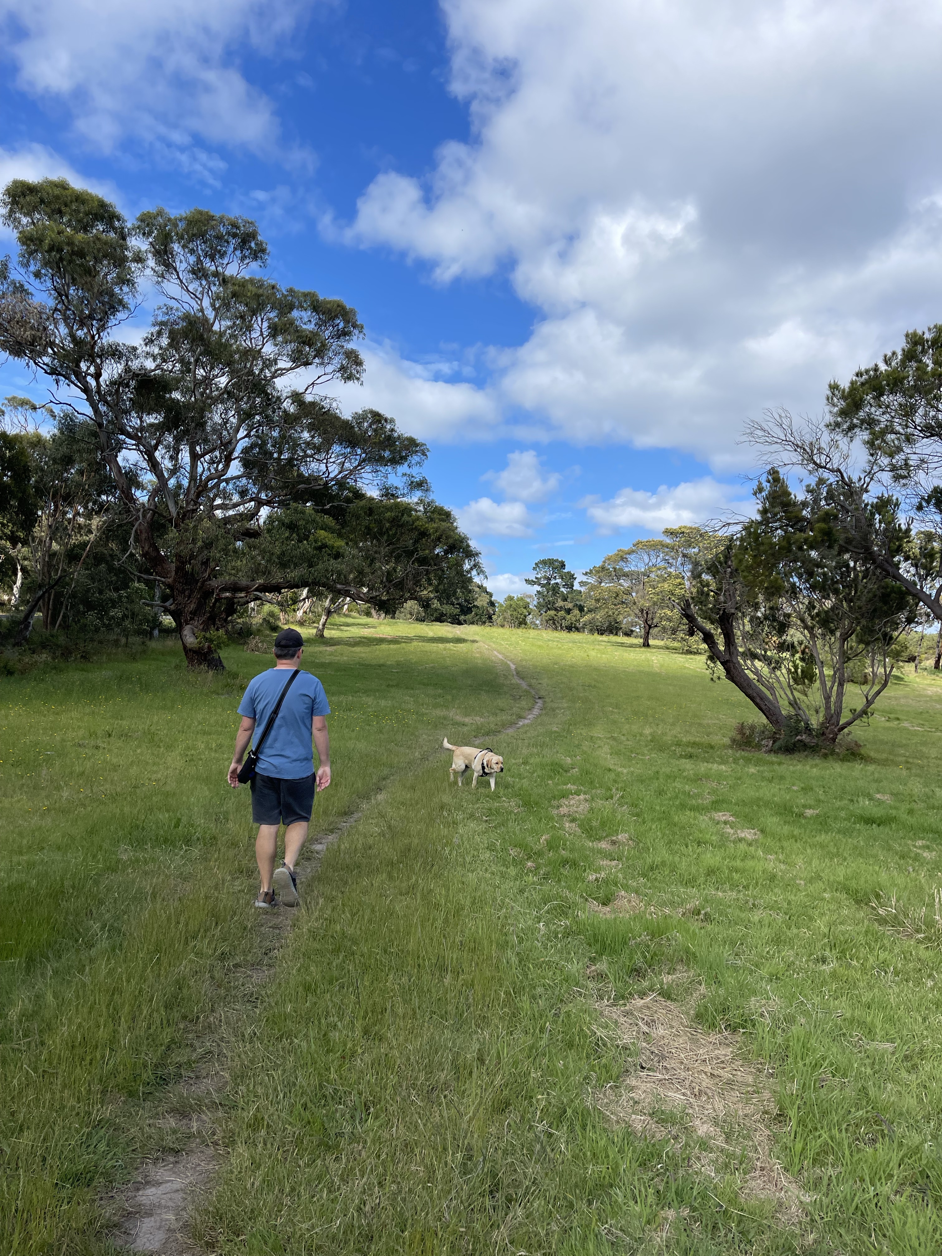 Mount Martha Scrubland