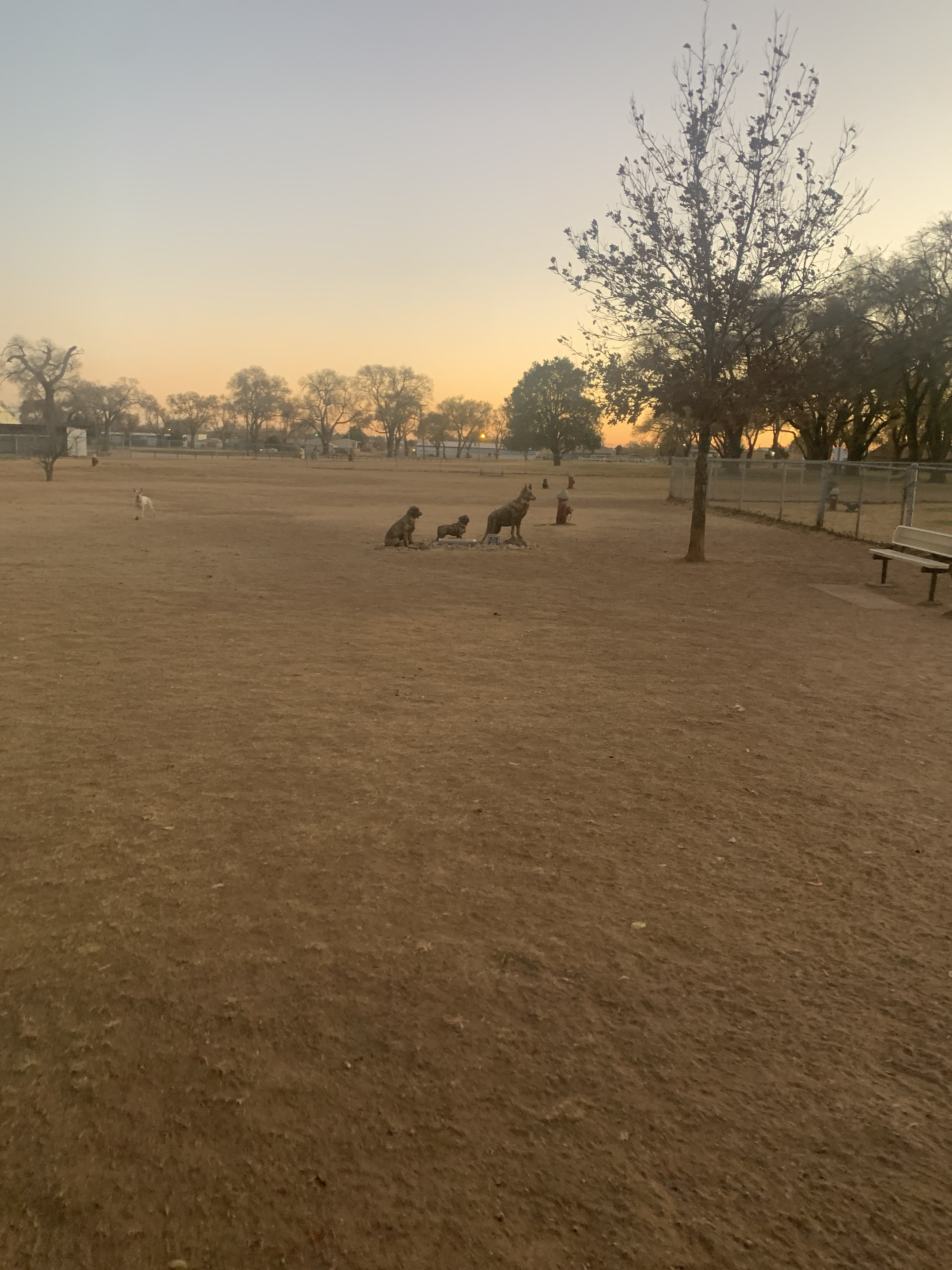Hillcrest Dog Park NM