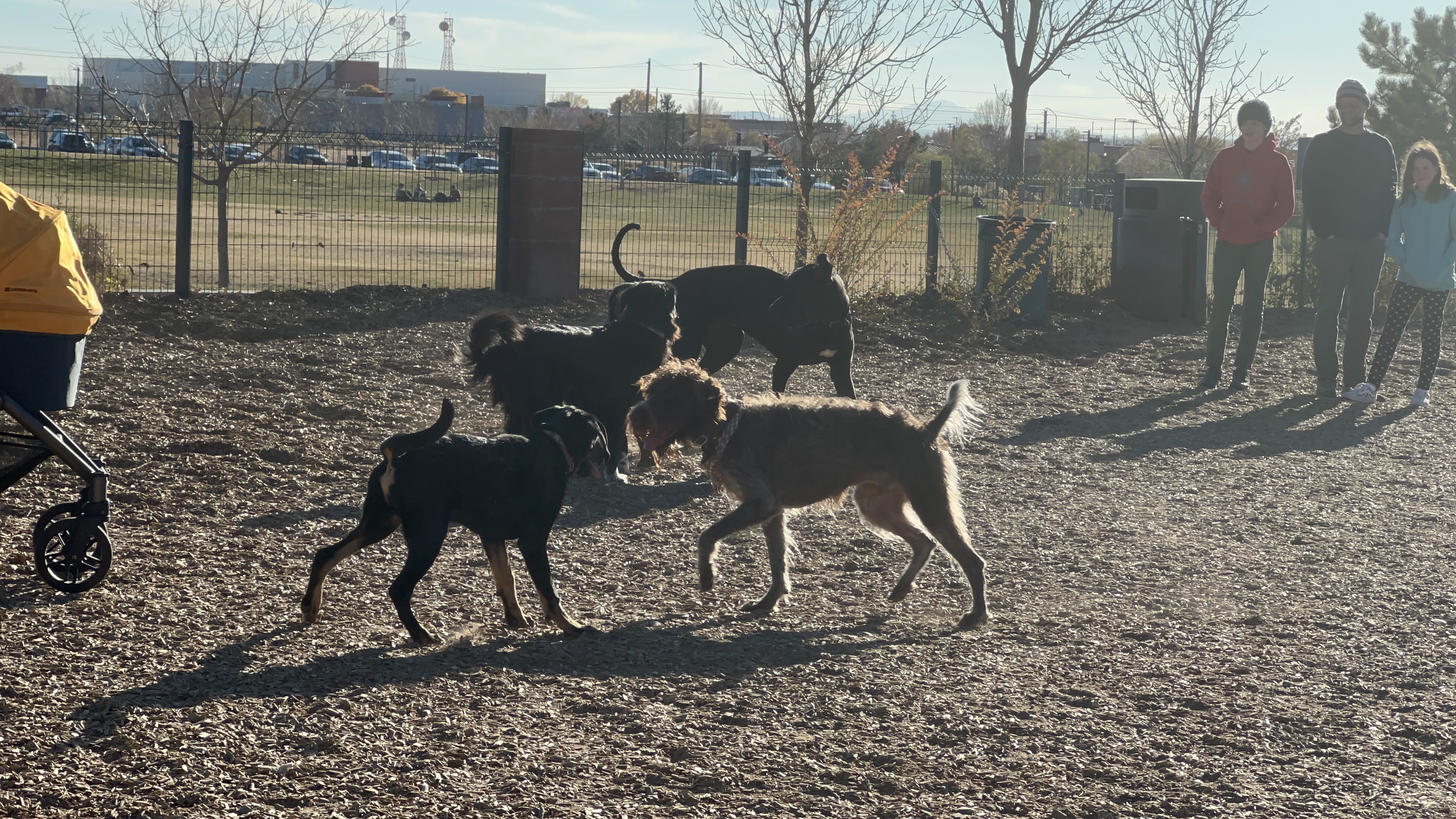 North Domingo Baca Dog Park