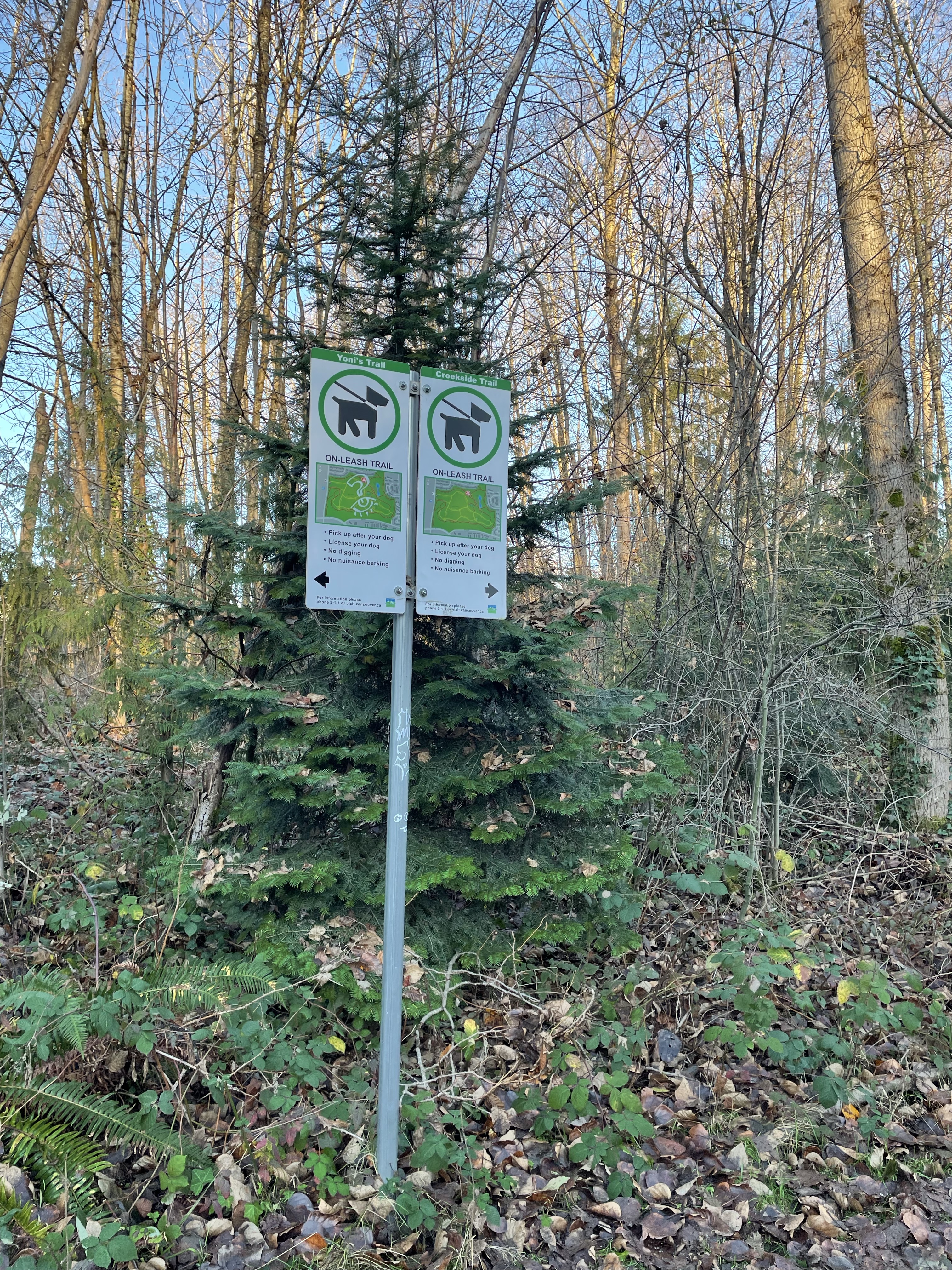 Everett Crowley Park