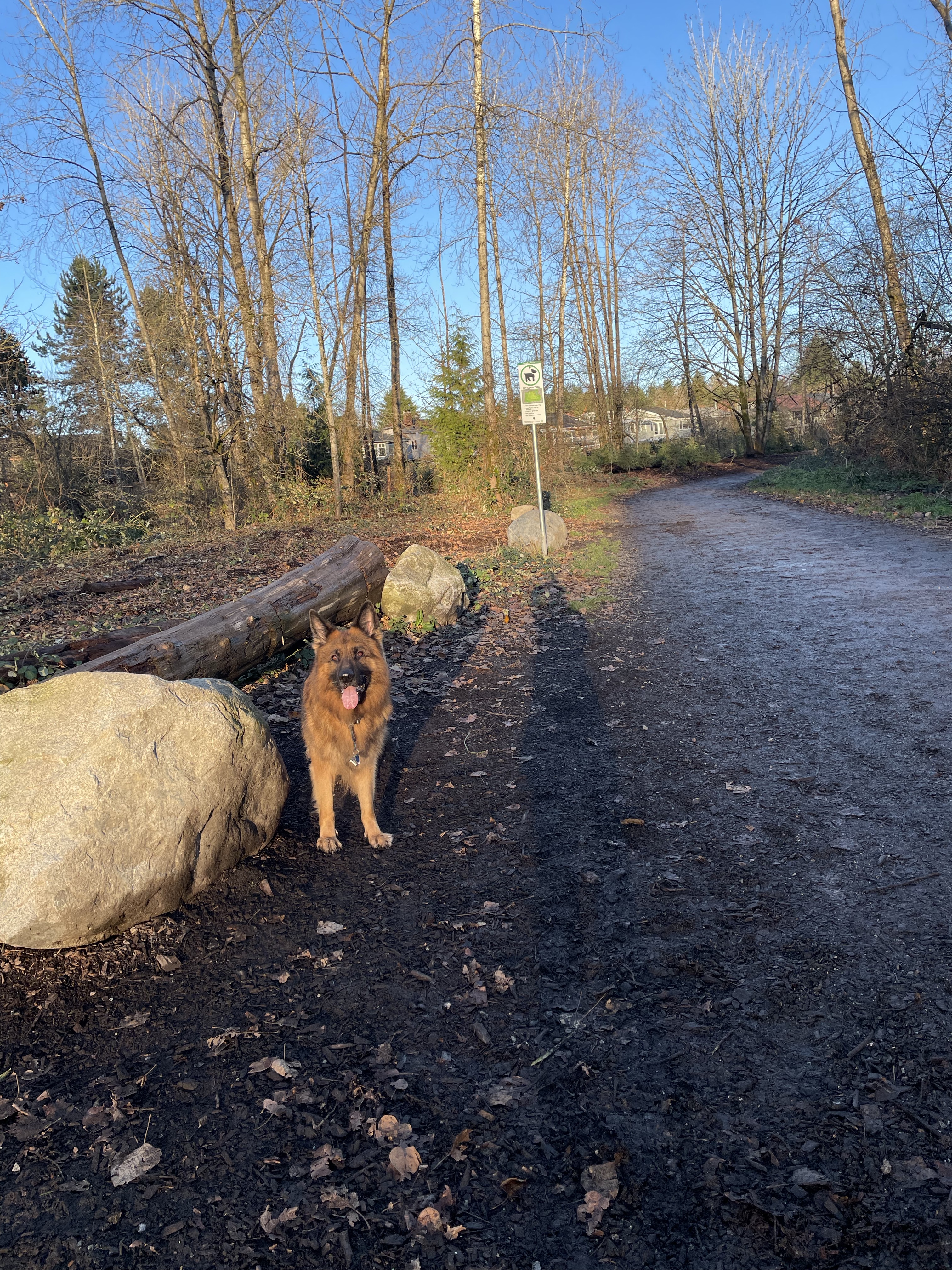 Everett Crowley Park