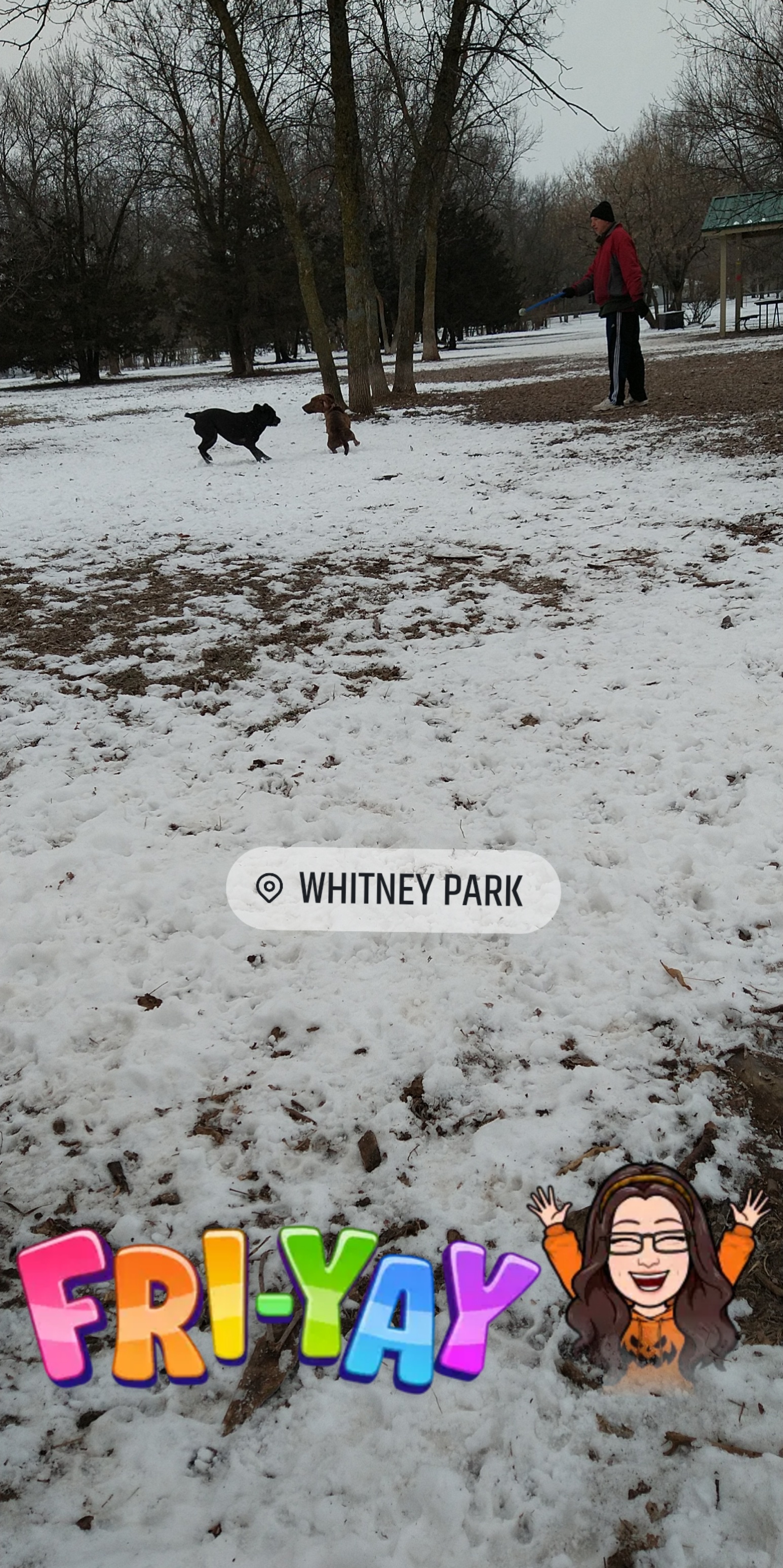 Friends of Whitney Dog Park