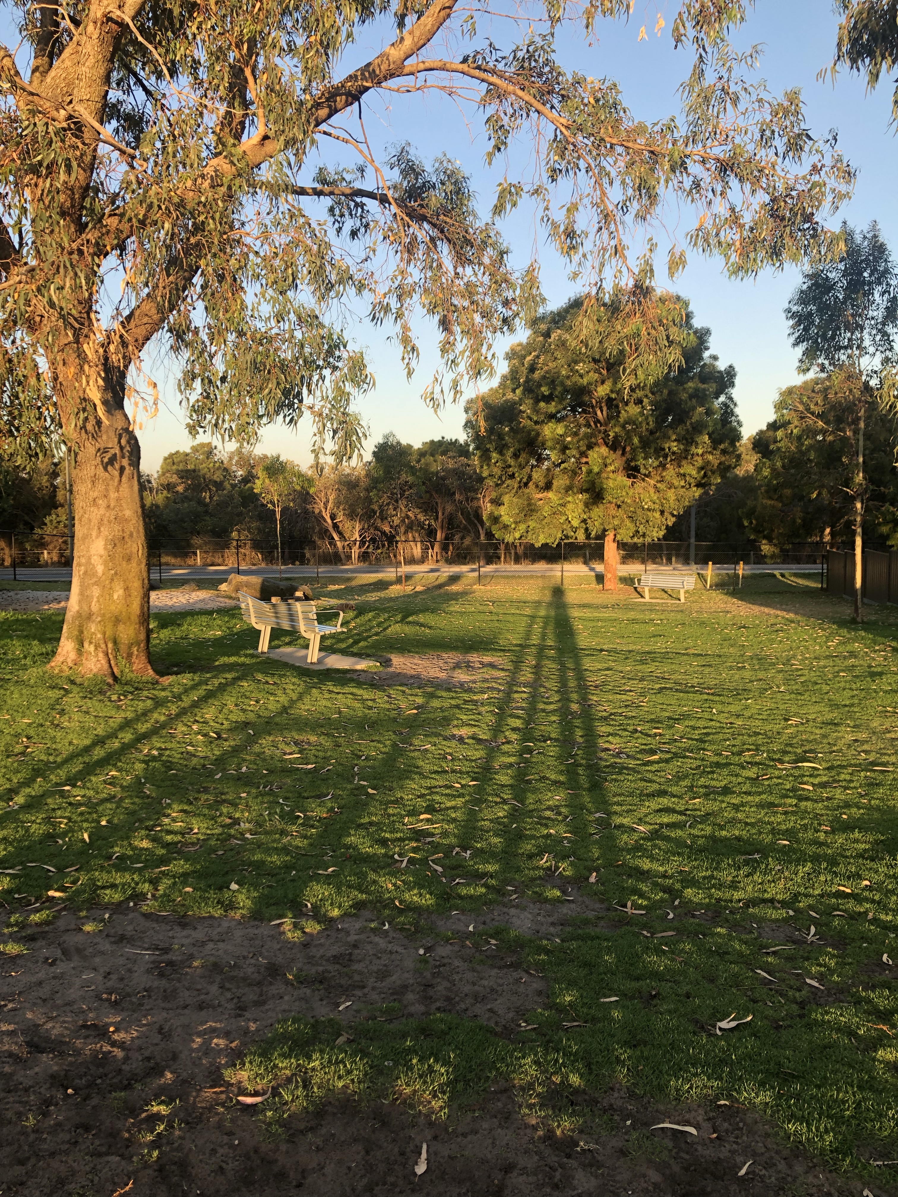 Baldivis Enclosed Dog Park