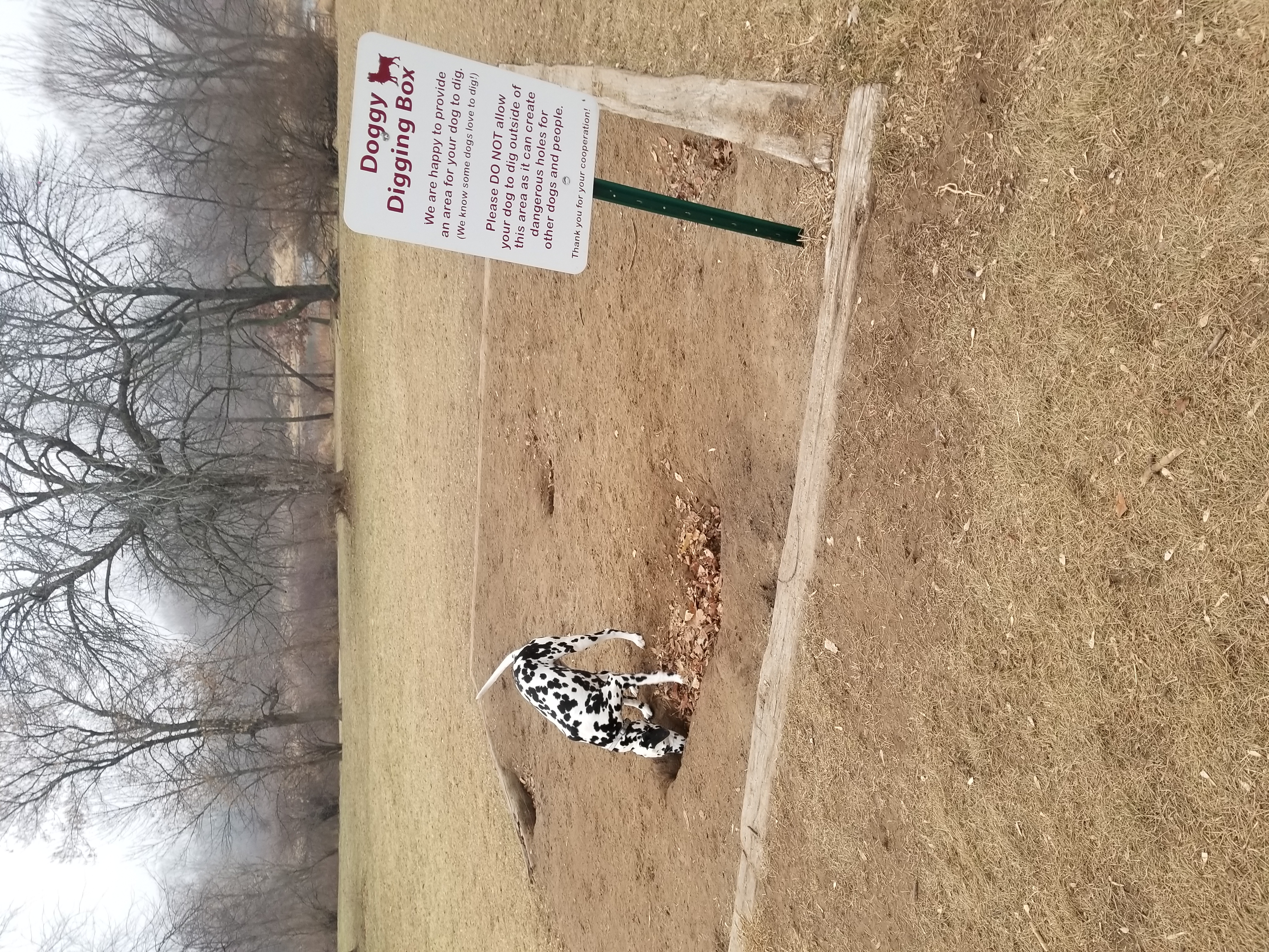 River Run Dog Park WI