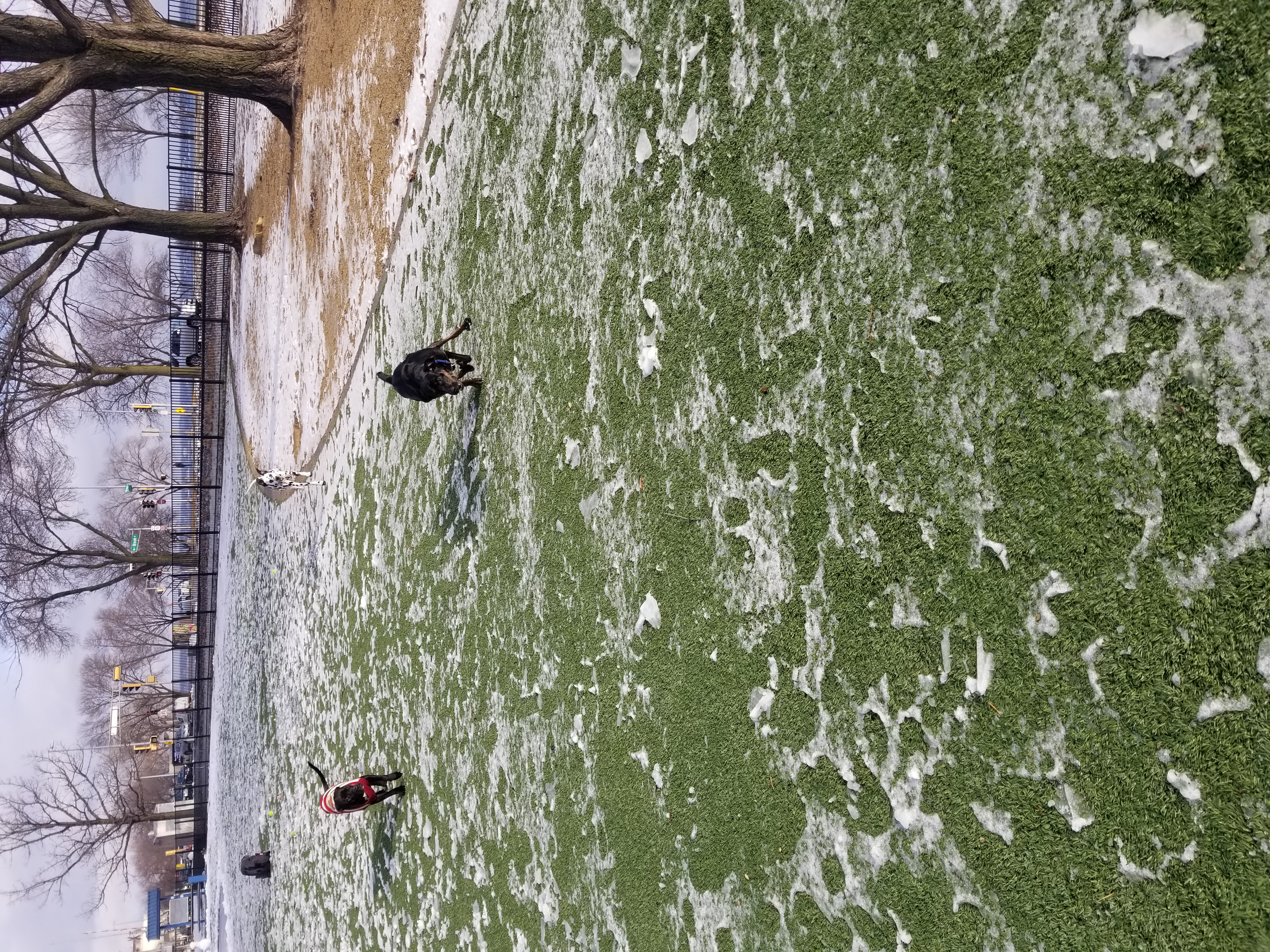 Brittingham Dog Park