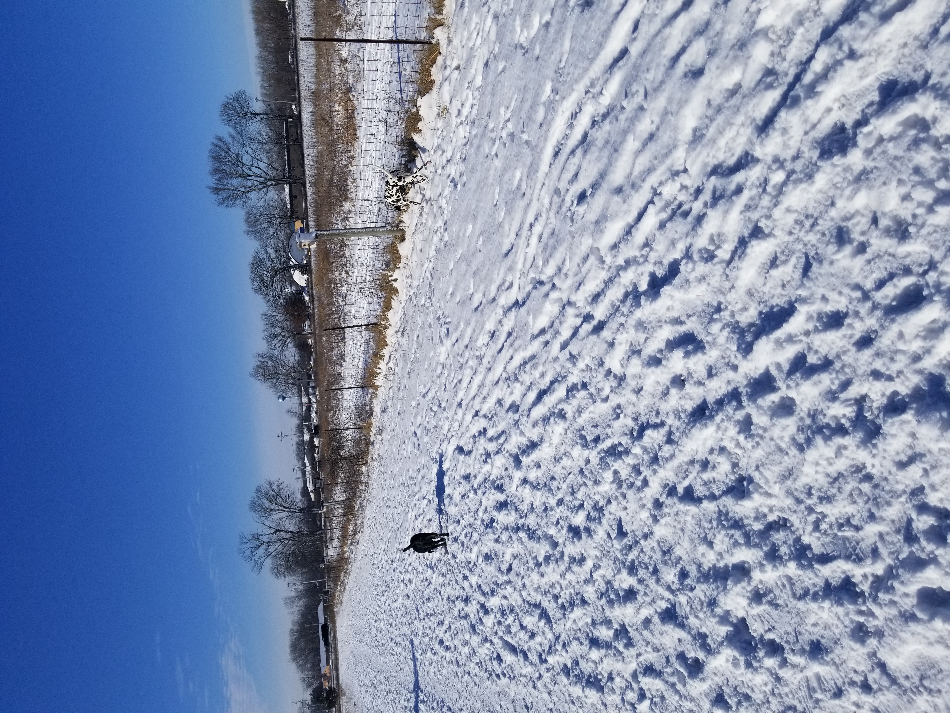 Yahara Heights Dog Park