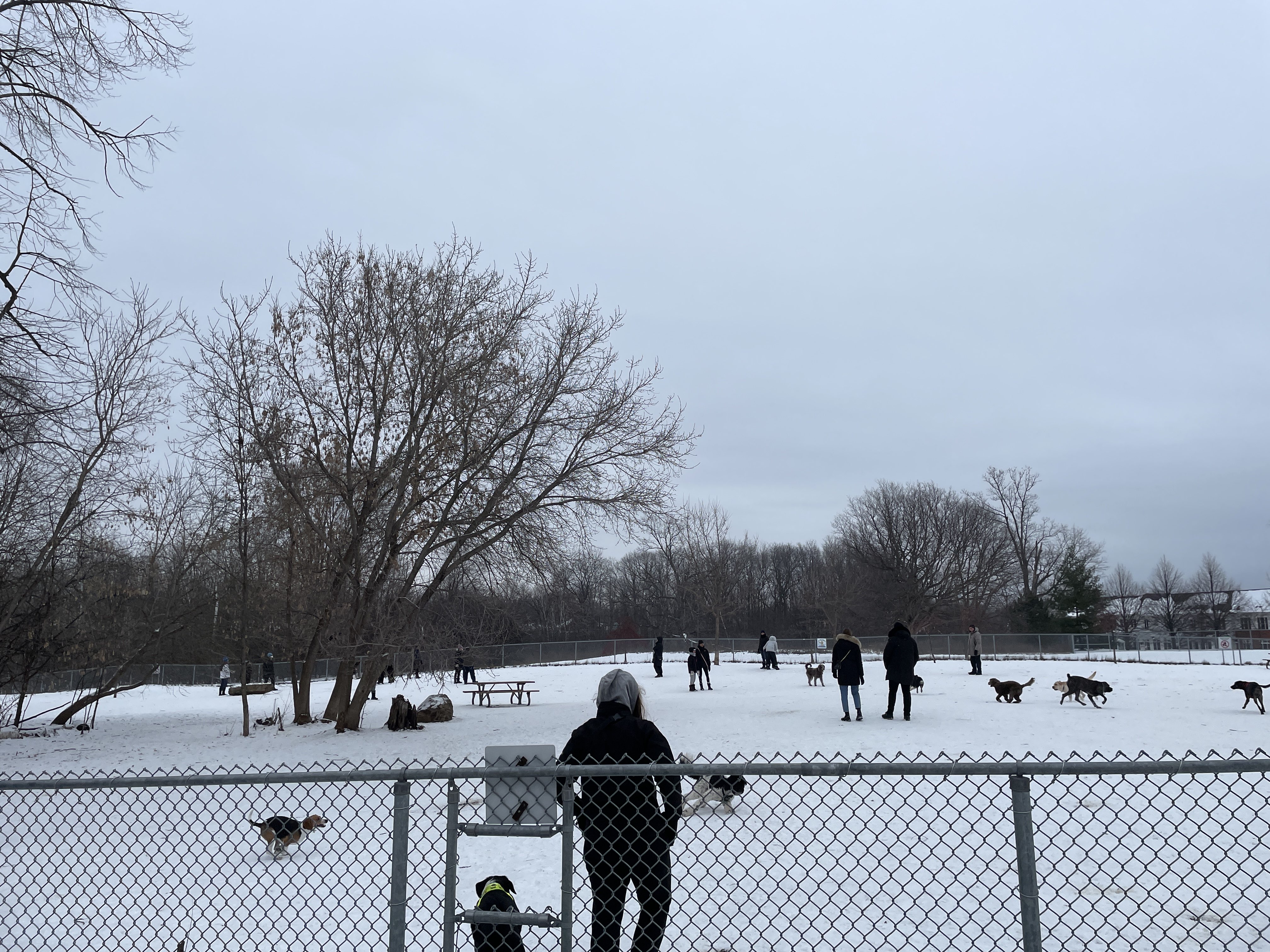 Beaconsfield Dog Run