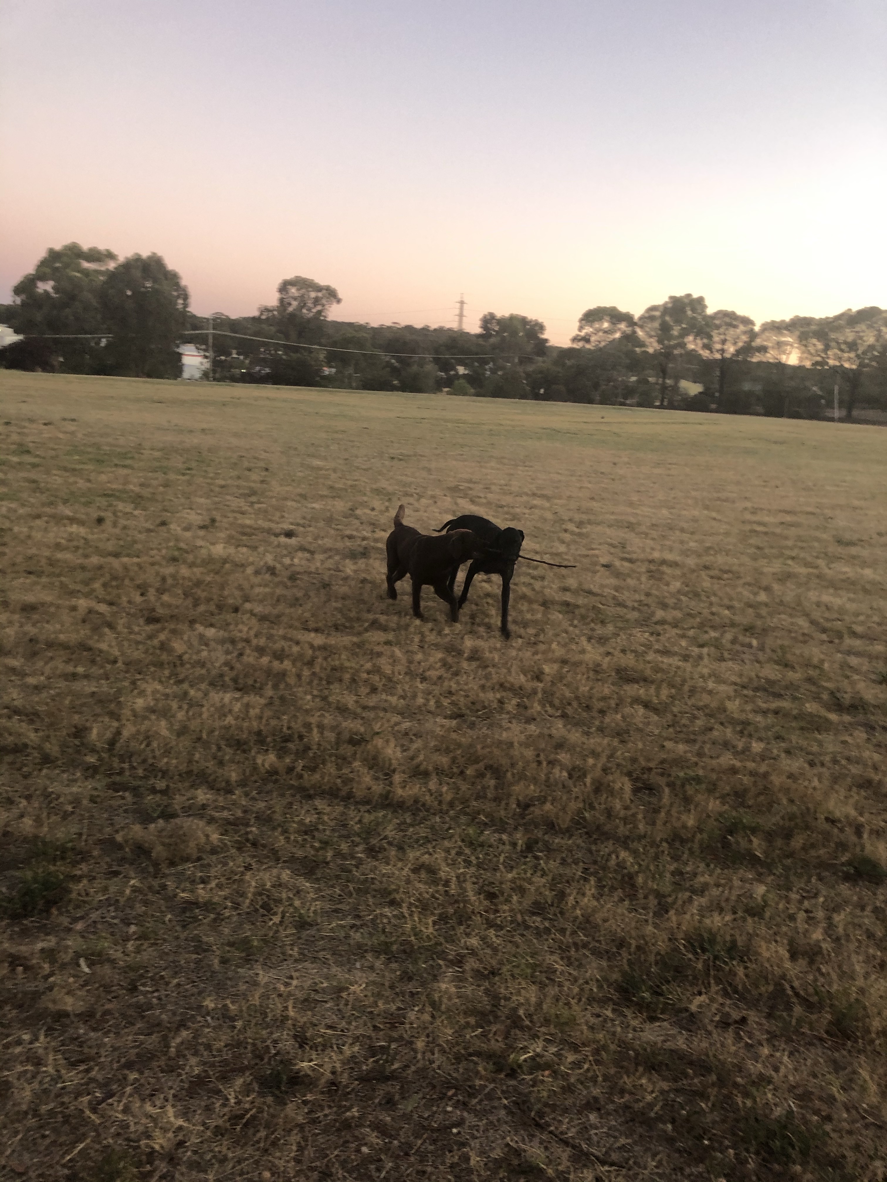 Golden Square Community Activity Centre