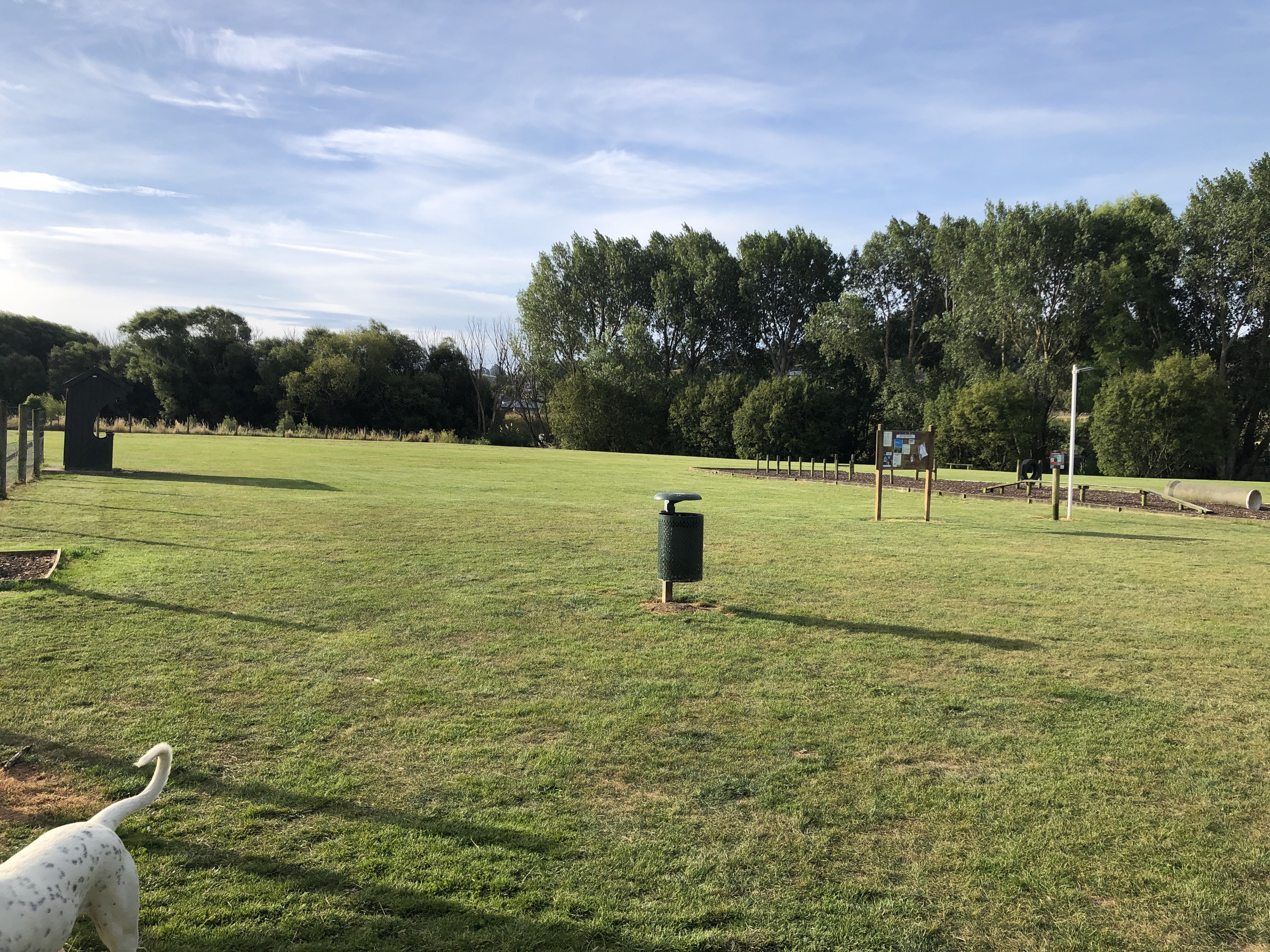 Shand Park - Dog Exercise Area