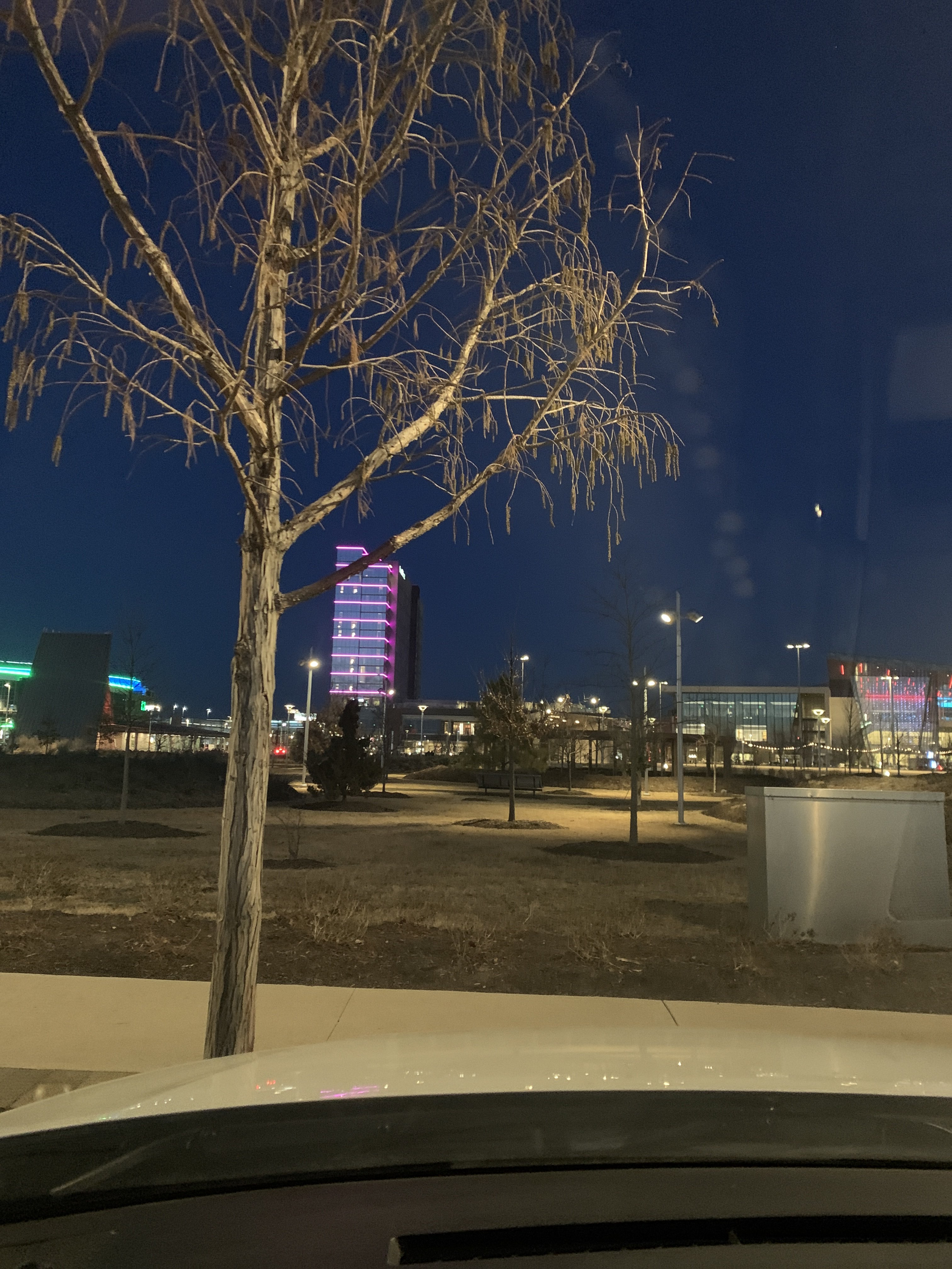 Scissortail Park Dog Park