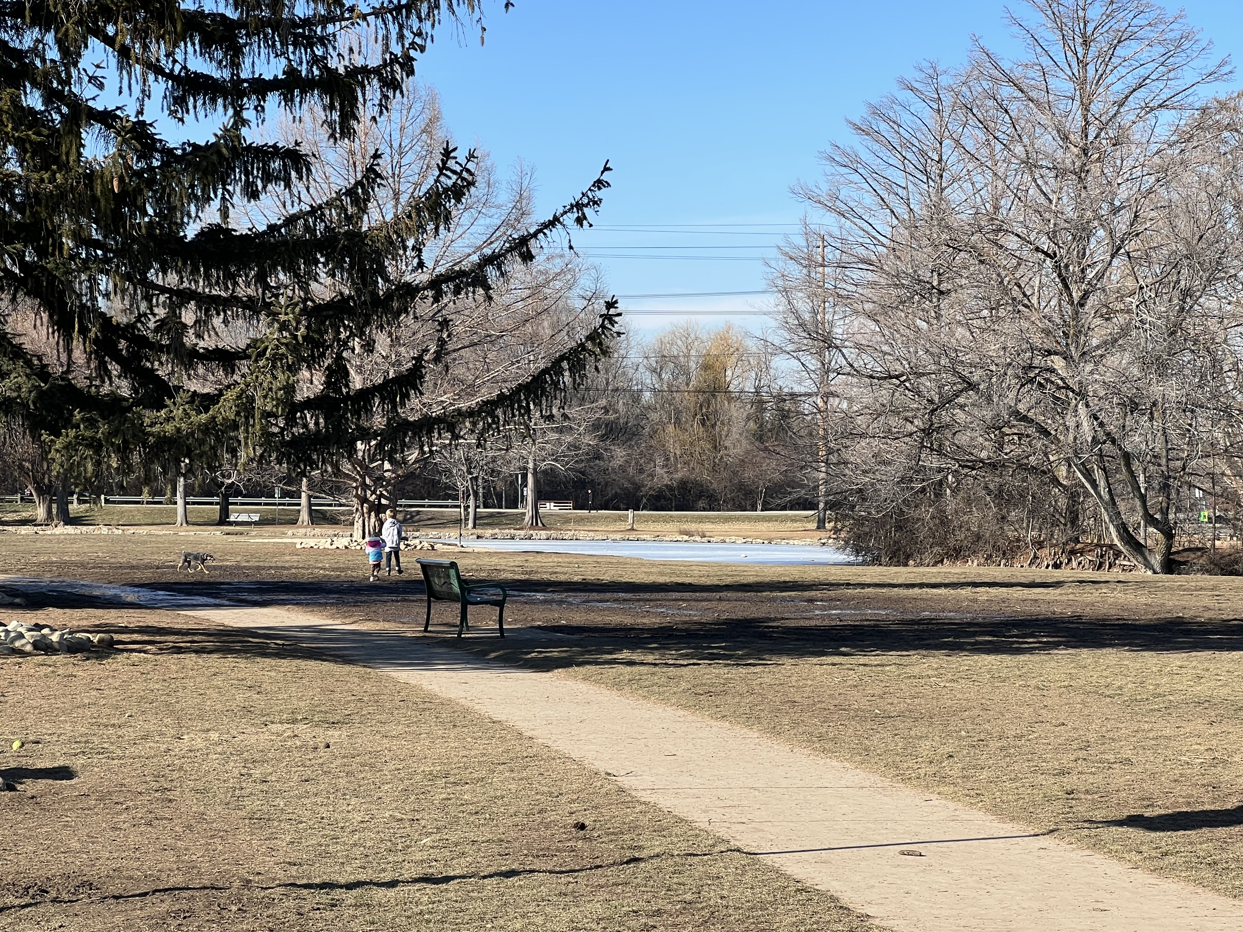 Together Treasure Valley Dog Island - Ann Morrison Park