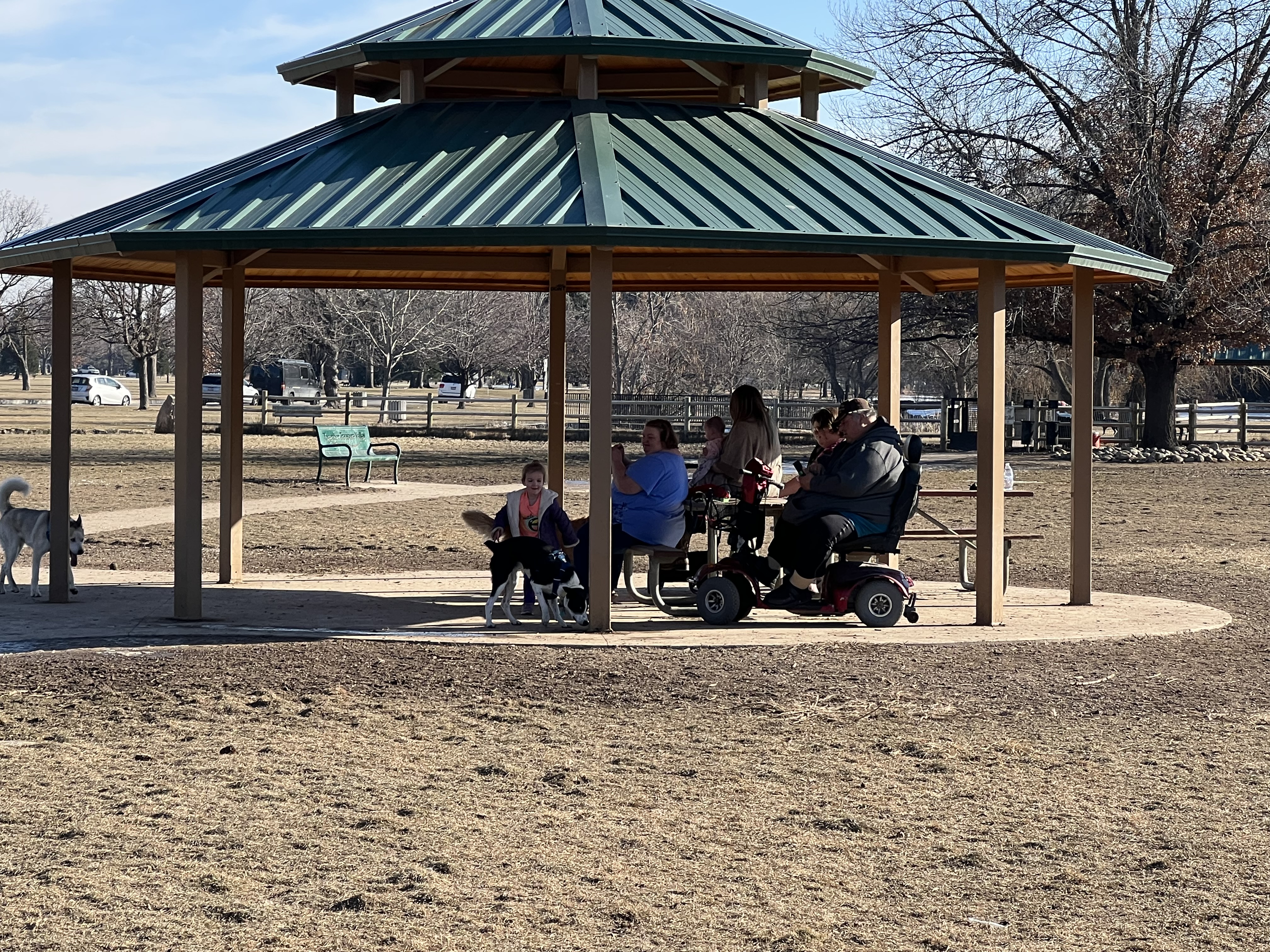 Together Treasure Valley Dog Island - Ann Morrison Park