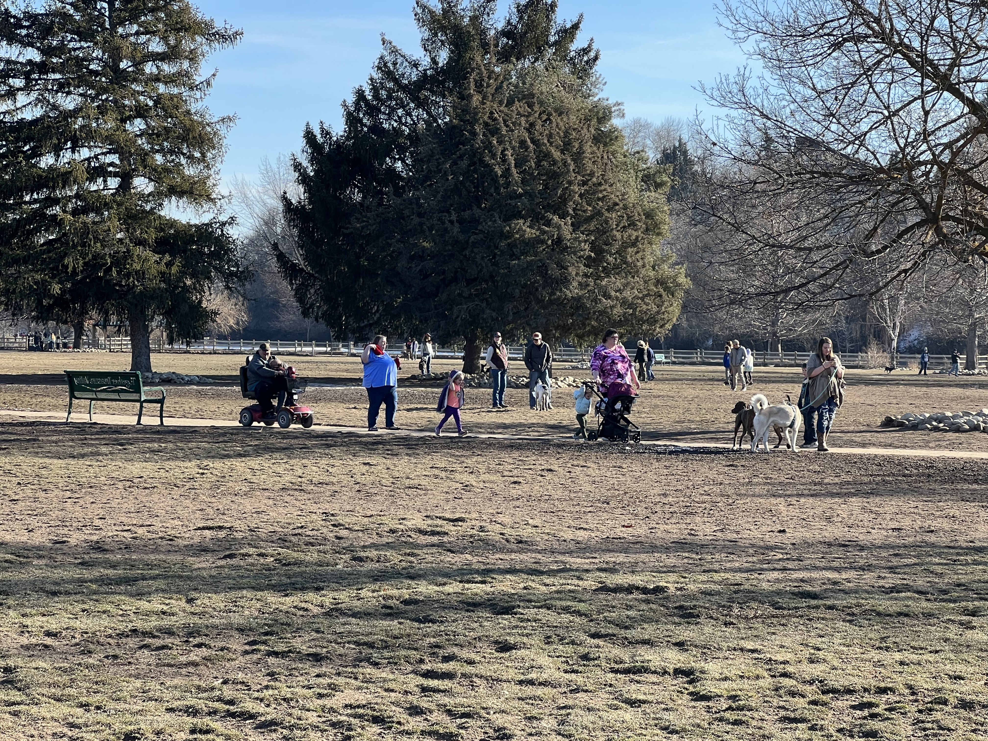 Together Treasure Valley Dog Island - Ann Morrison Park