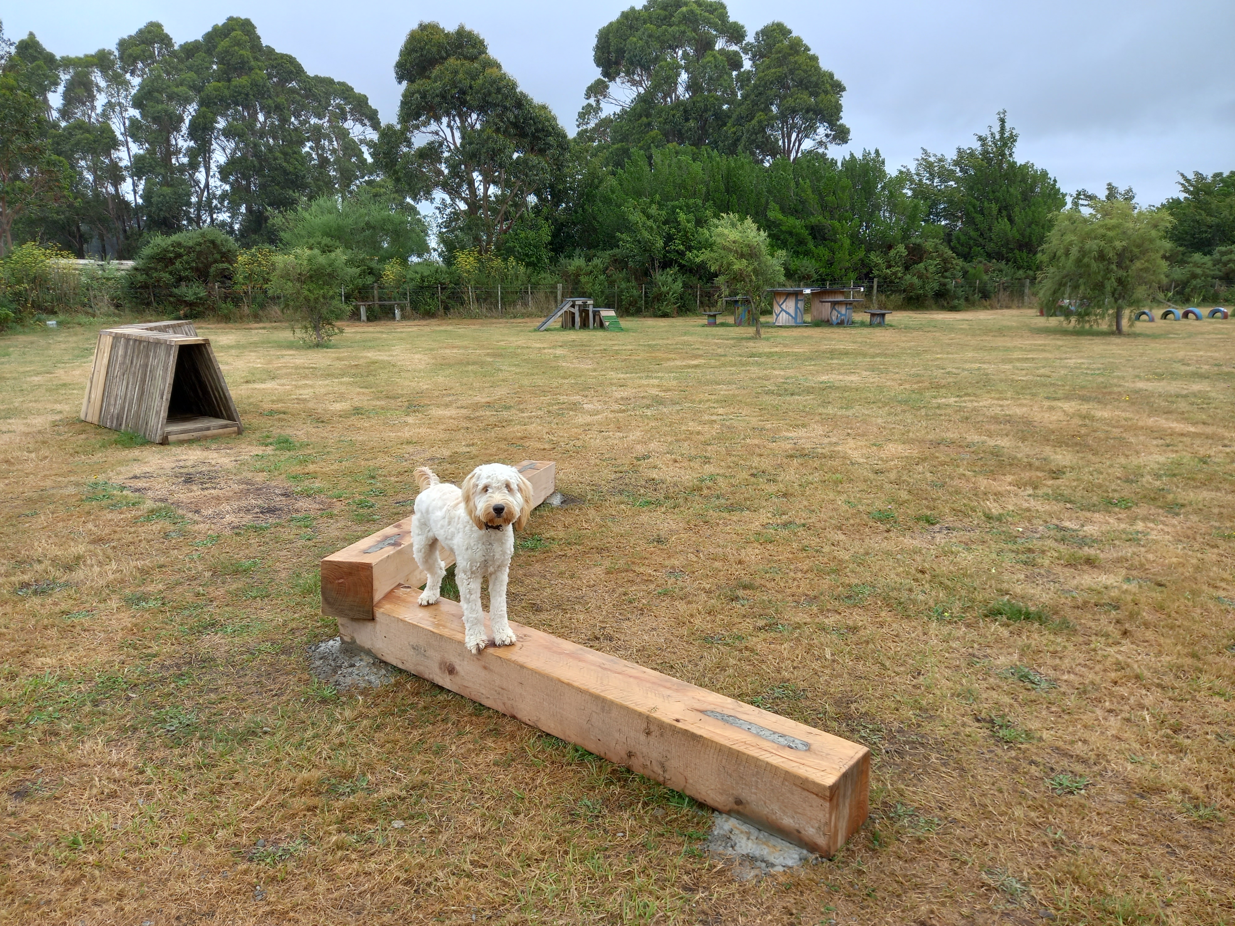 Featherston Dog Park
