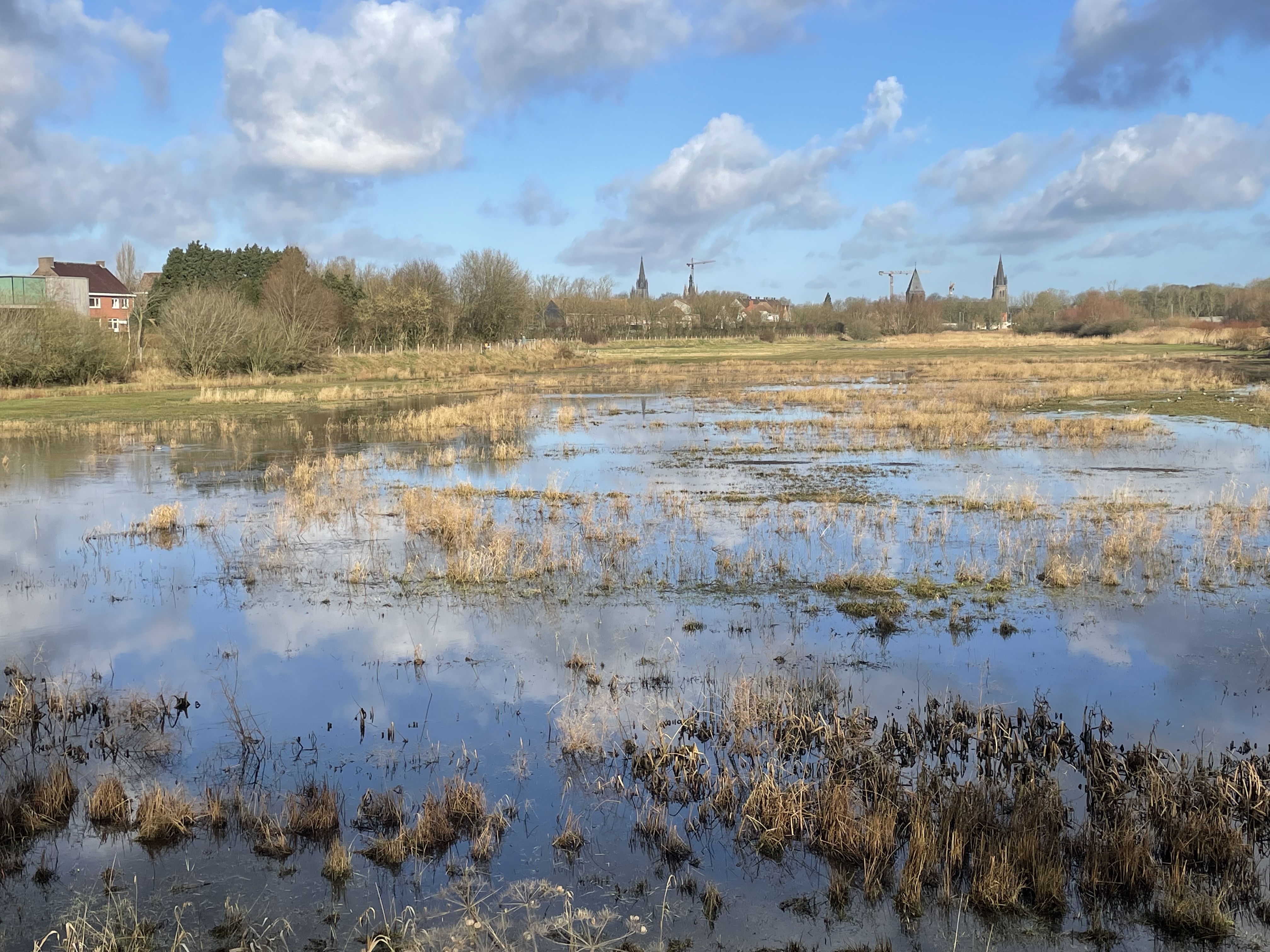 Verdronken Weide, Ieper