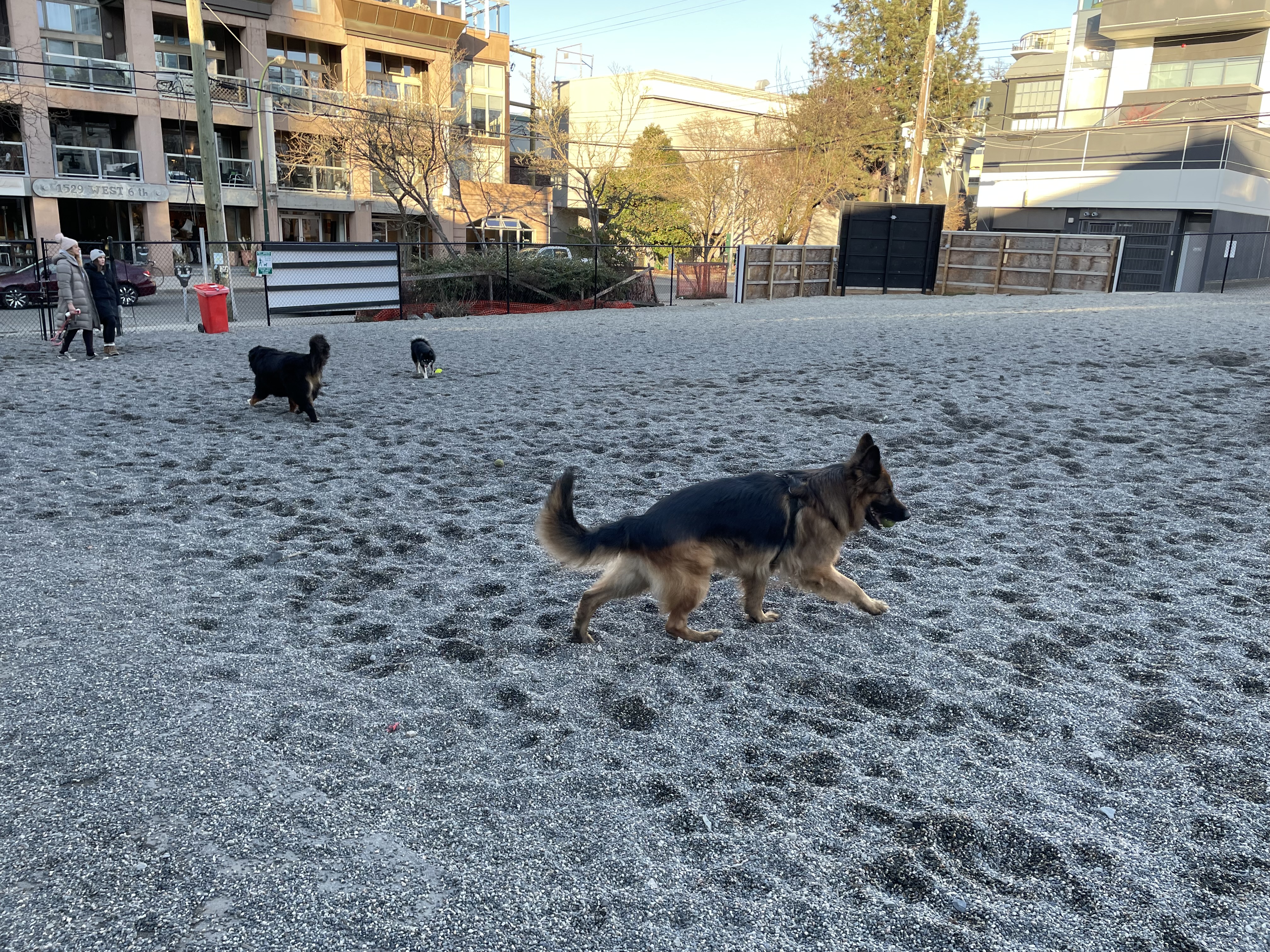 West 6th Dog Park