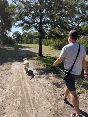 Burnley Park Dog Off Leash Area