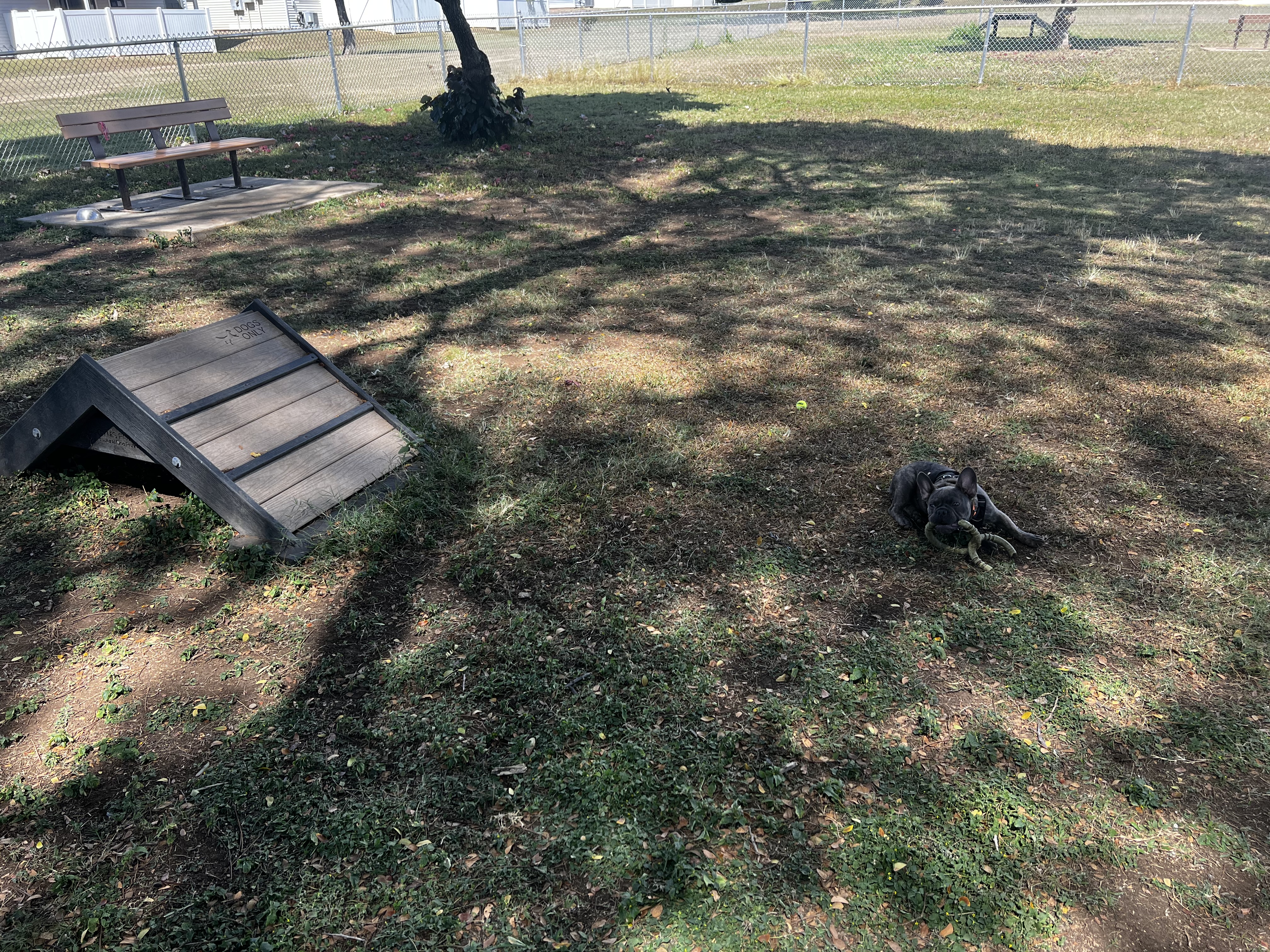 Forest City Dog Park