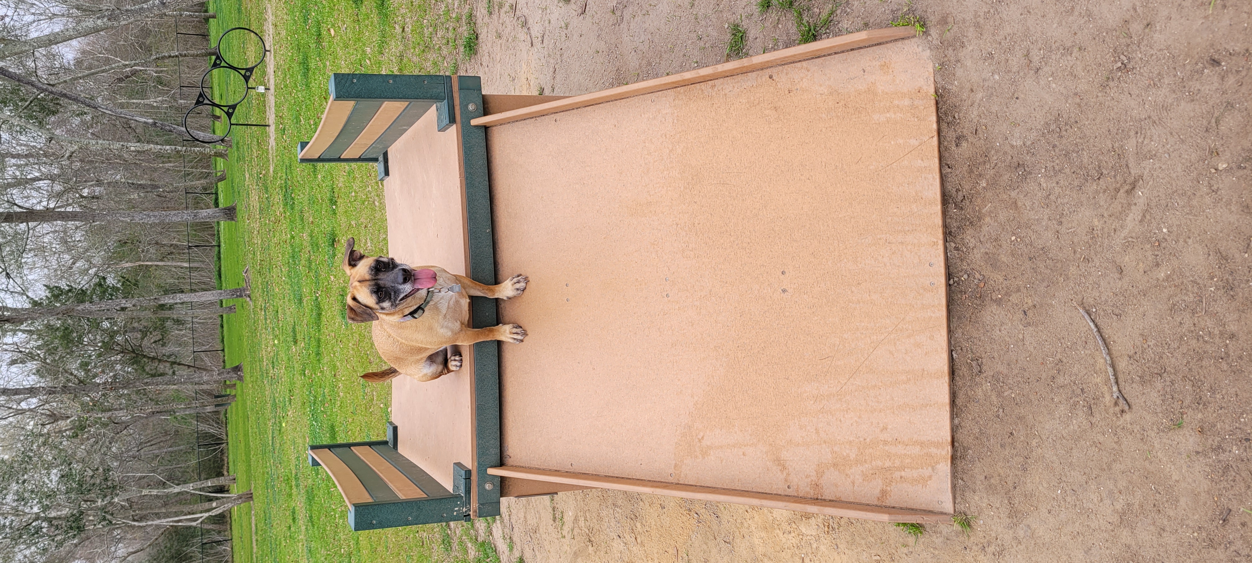 League City Dog Park