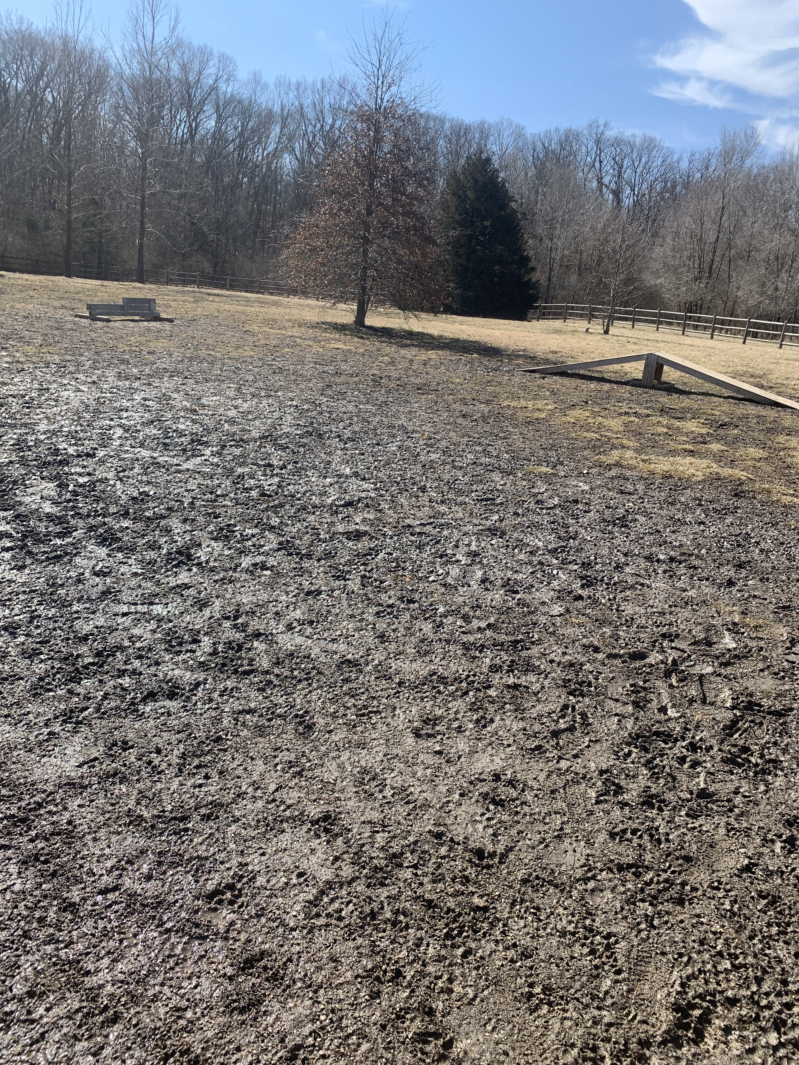 Garth Nature Area Dog Park