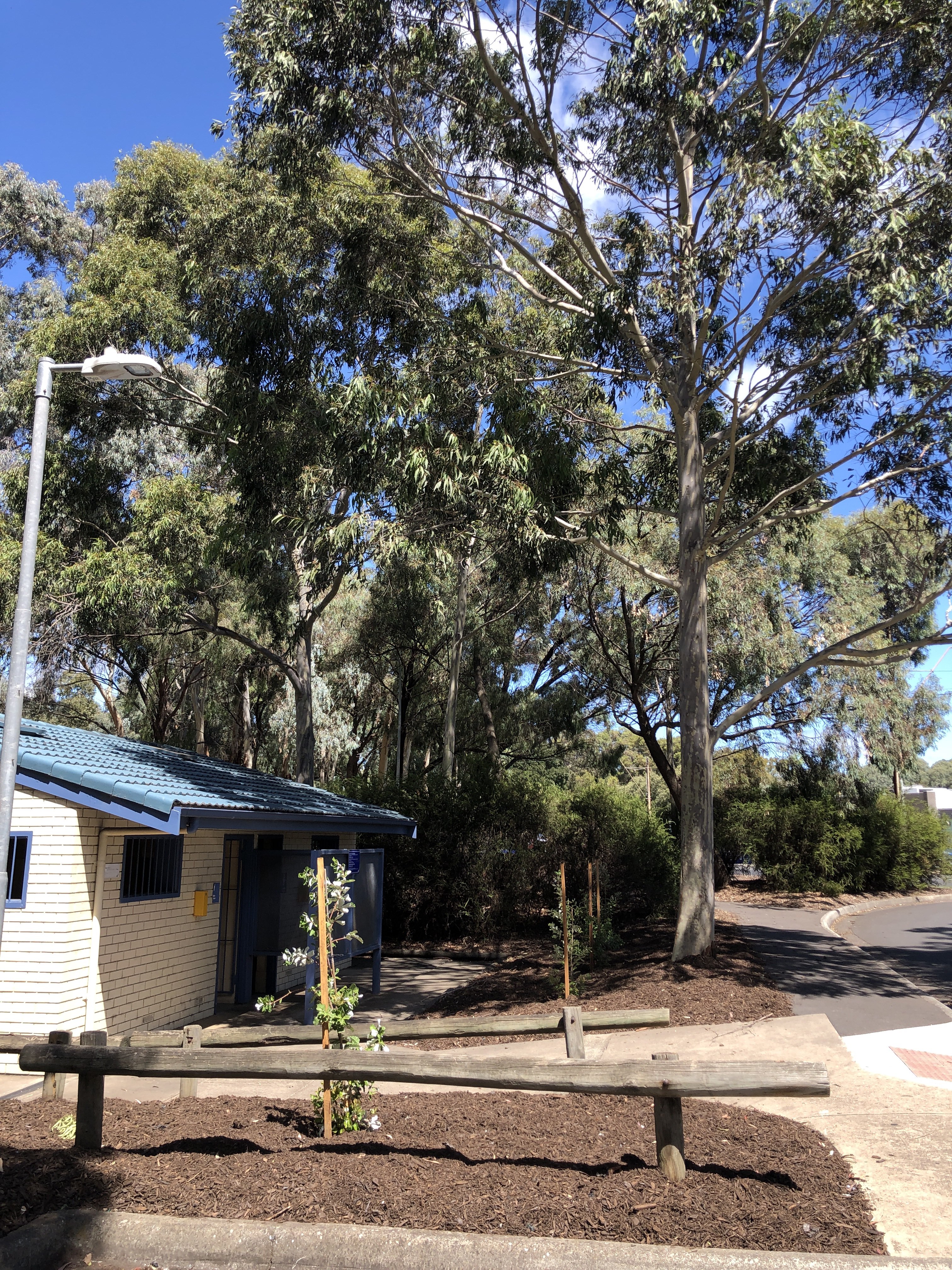 Pooch Park Tedder Reserve