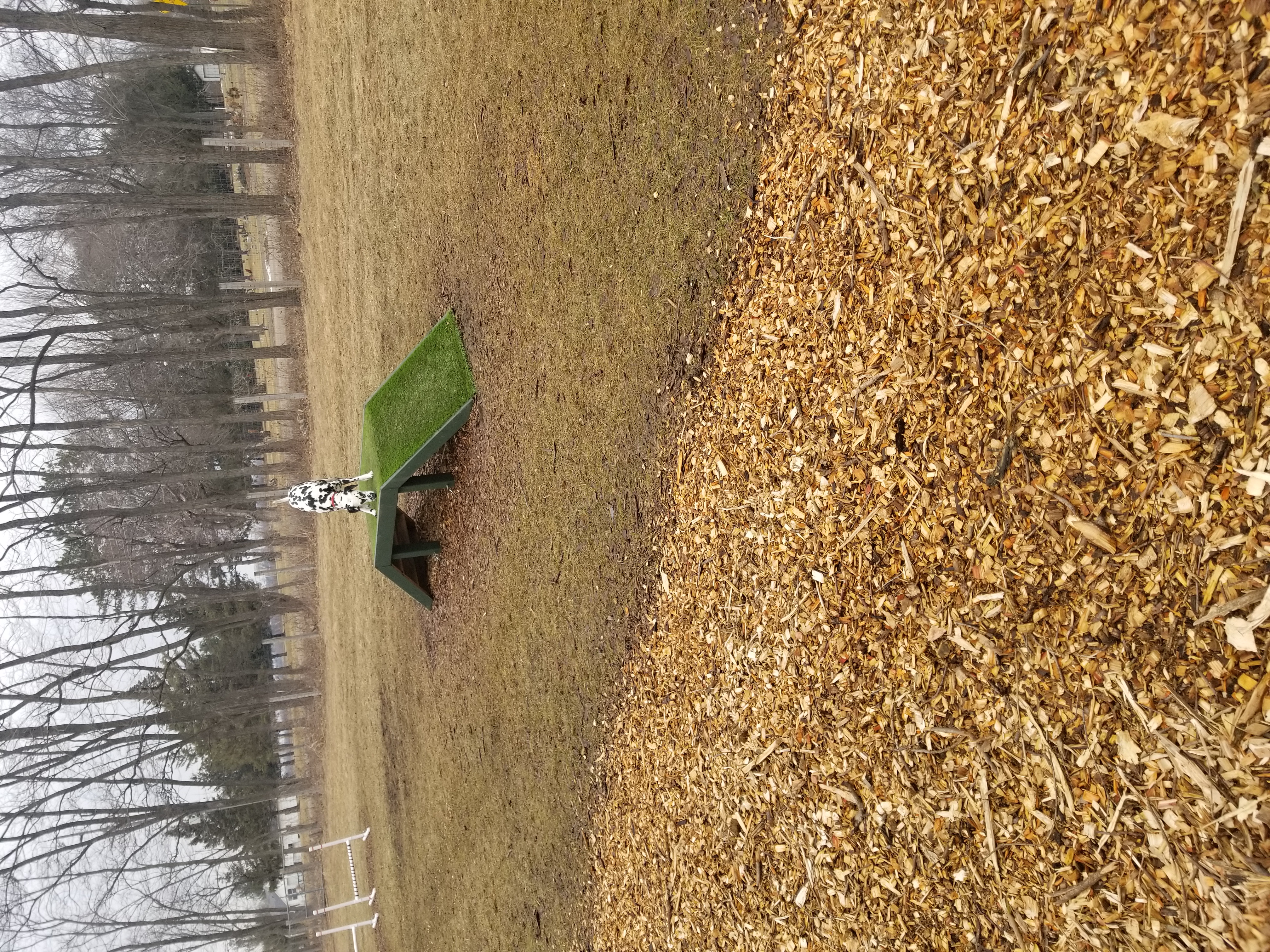 Tails & Trails Dog Park