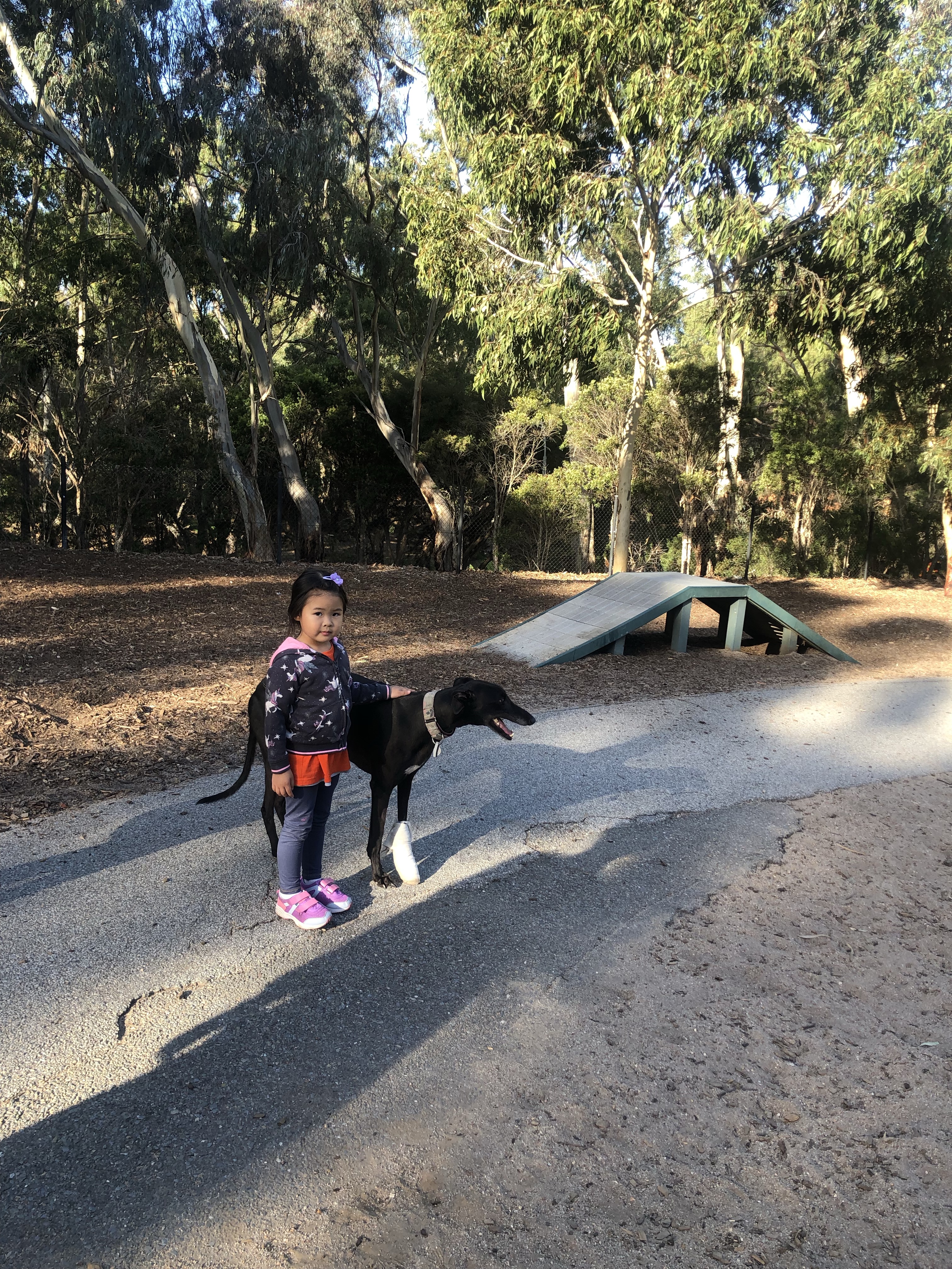 Pooch Park Tedder Reserve