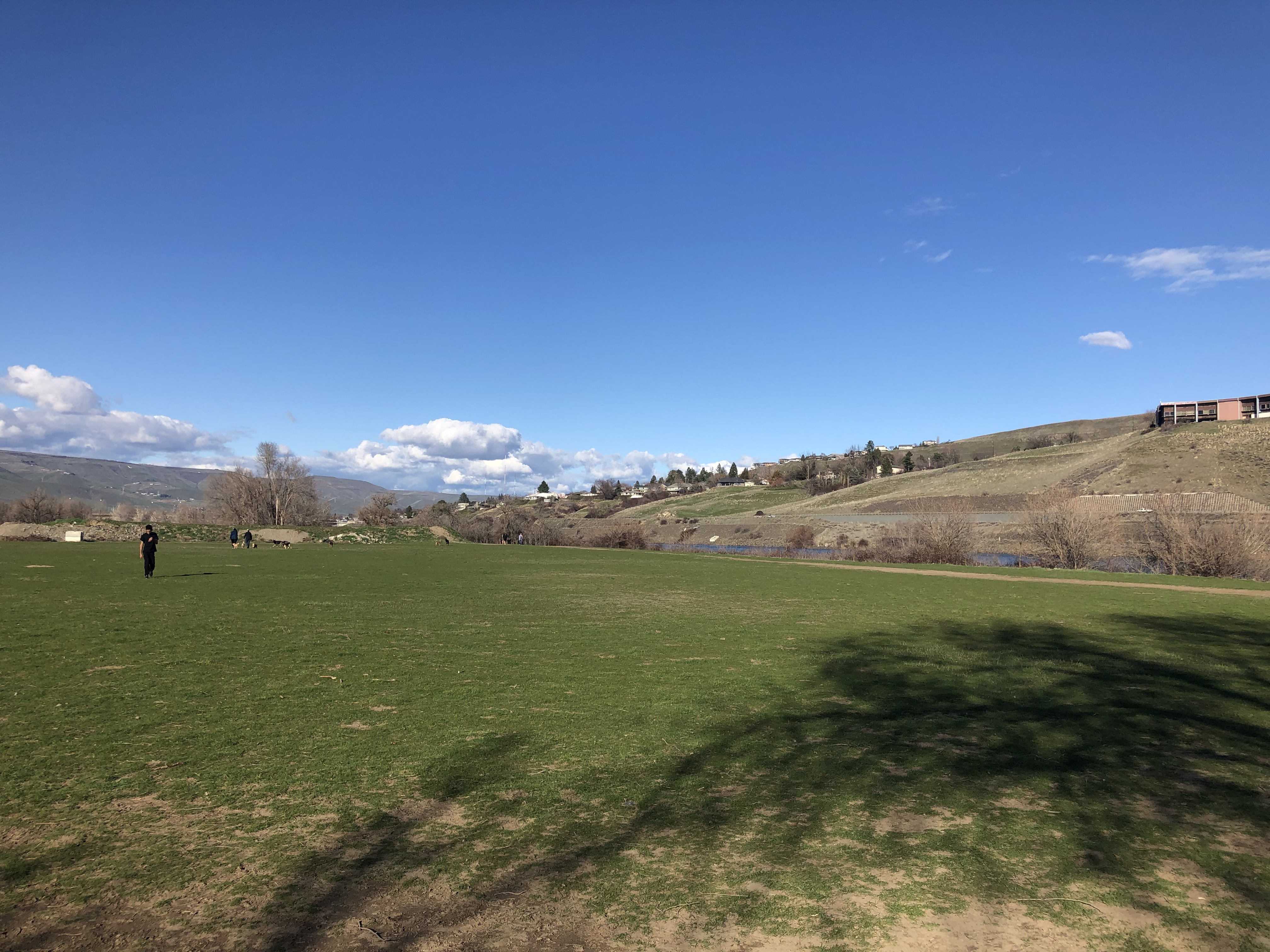 Pippin's Island - Off Leash Area