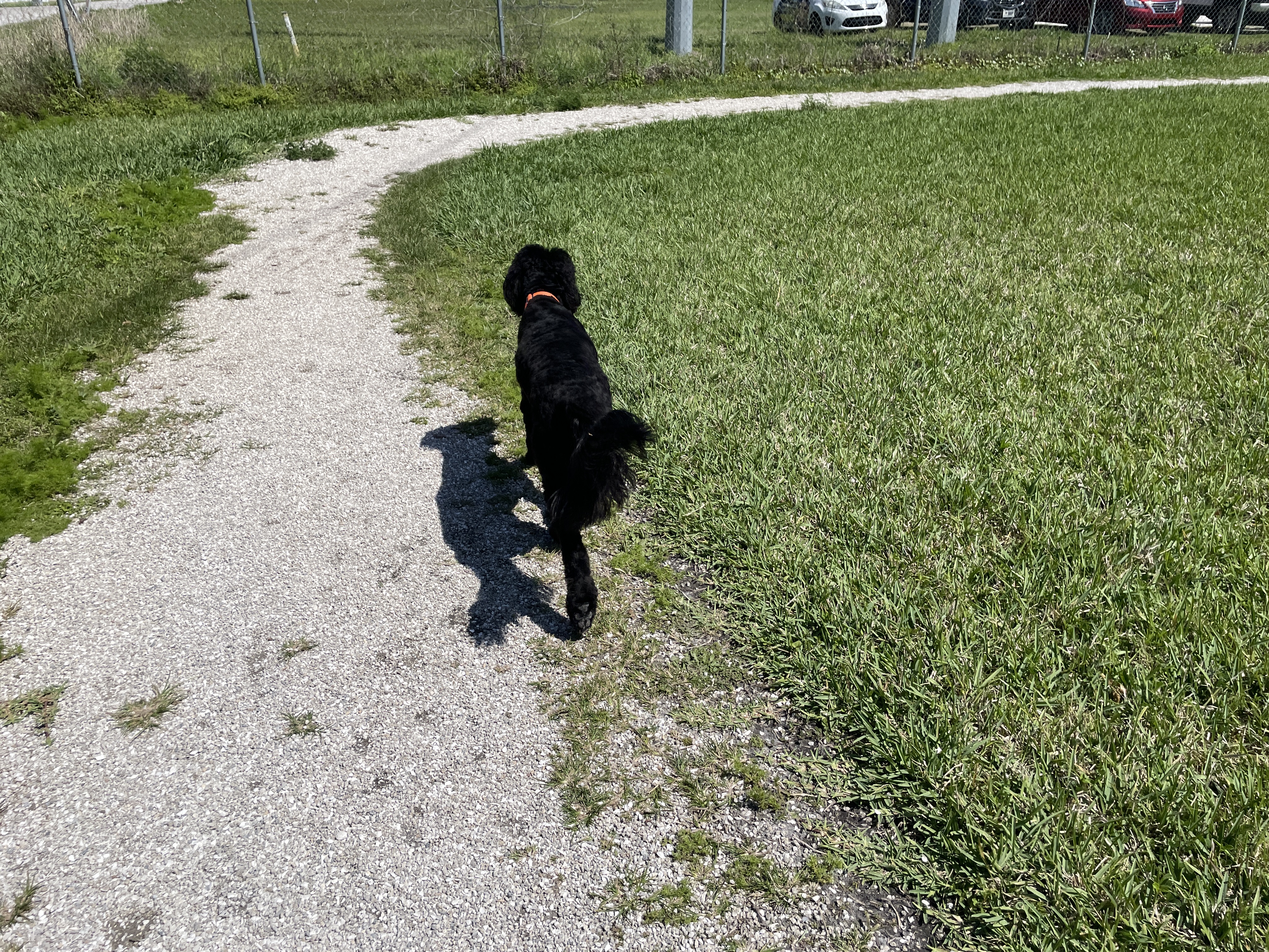Ott's Off-Leash Dog Sanctuary