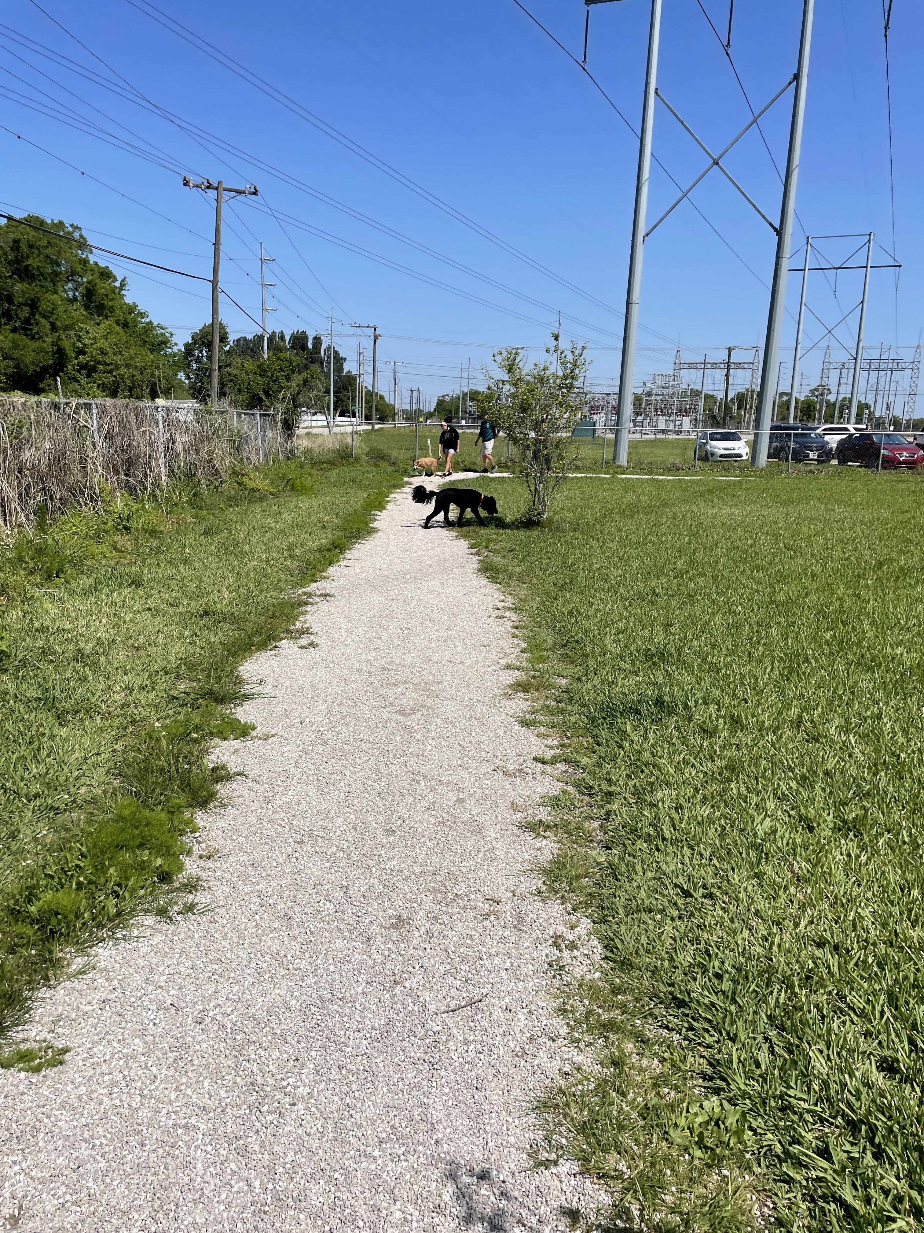 Ott's Off-Leash Dog Sanctuary