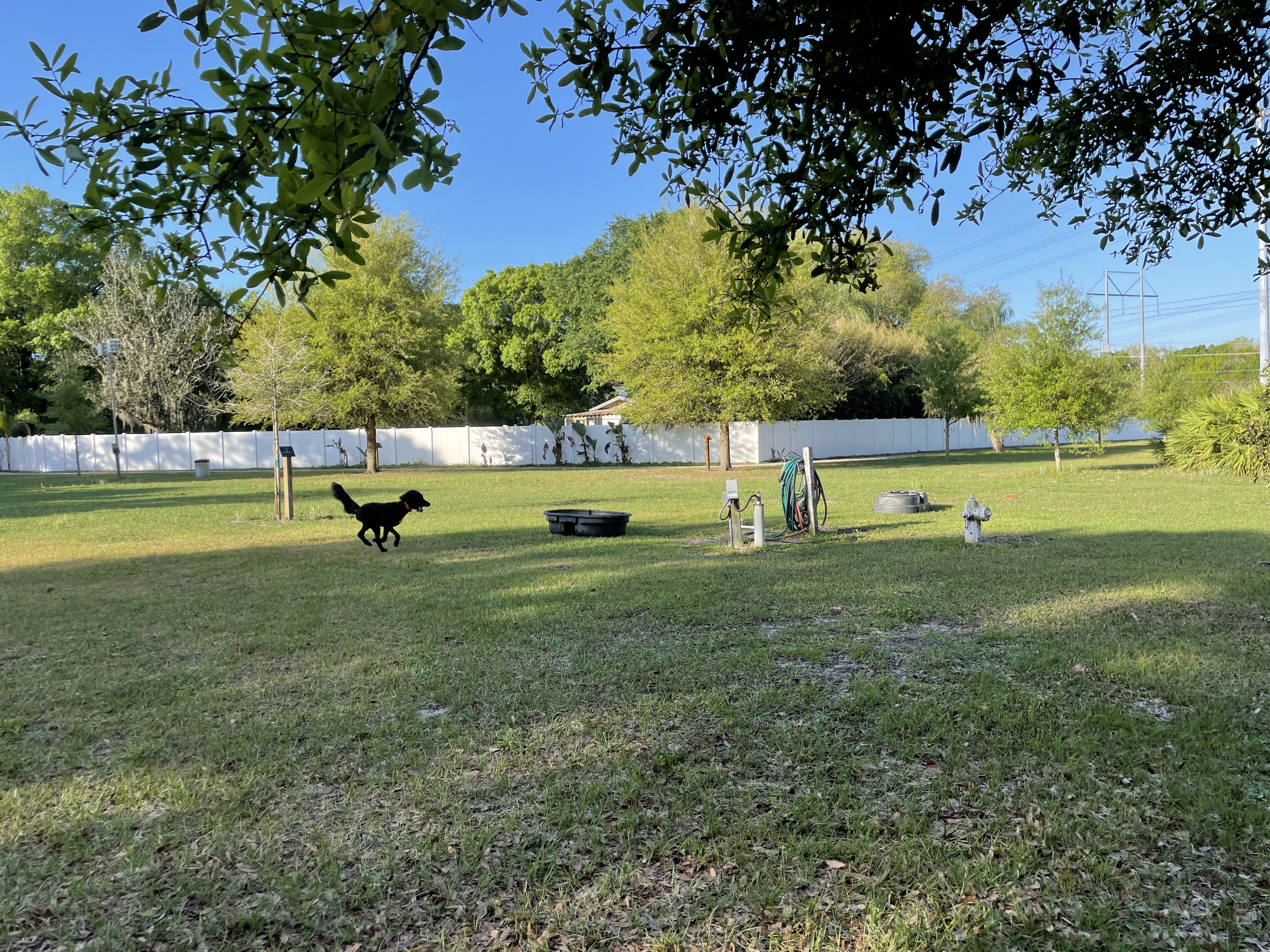 Ott's Off-Leash Dog Sanctuary