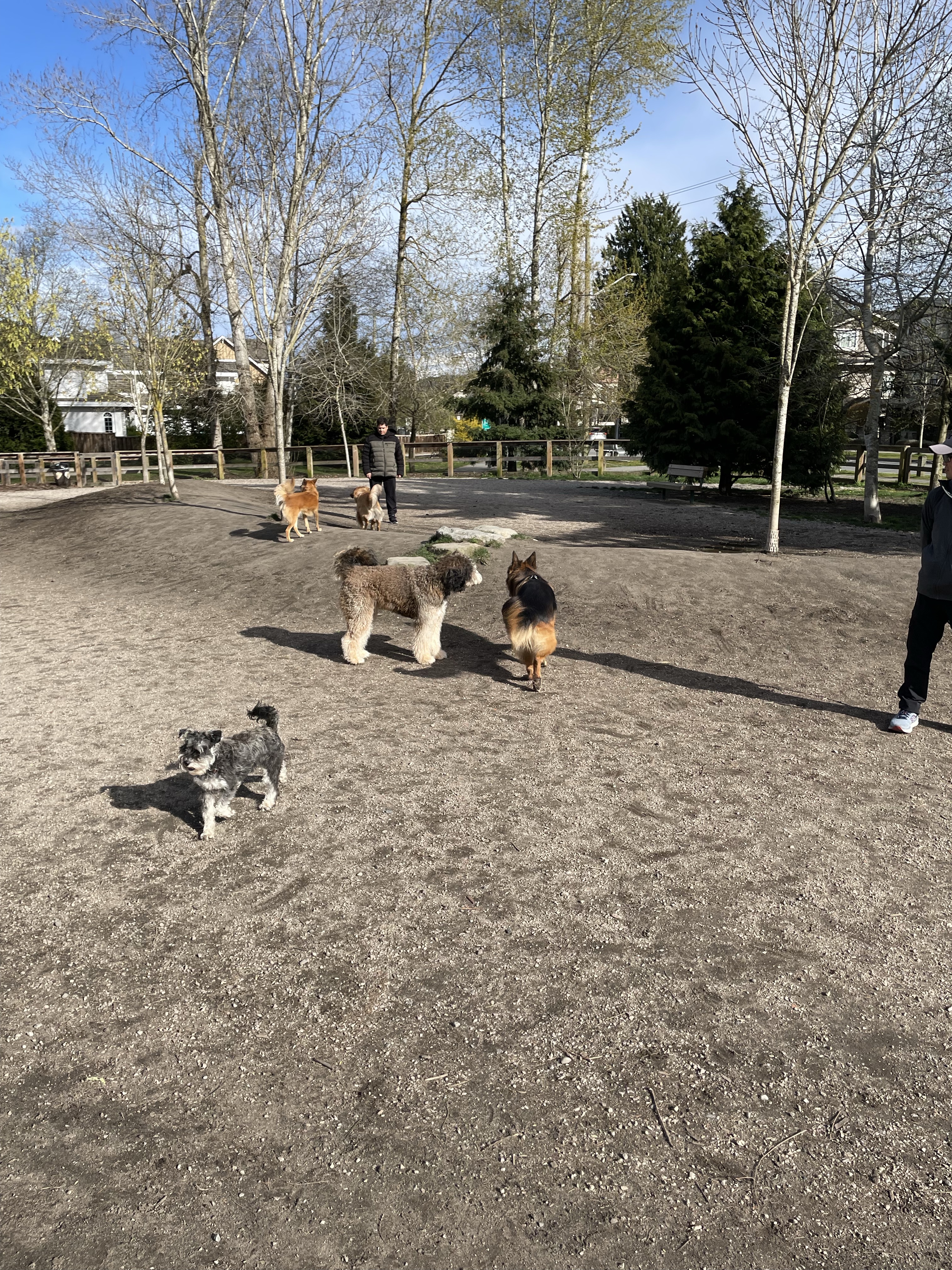 Garden City Dogs Off-Leash Area