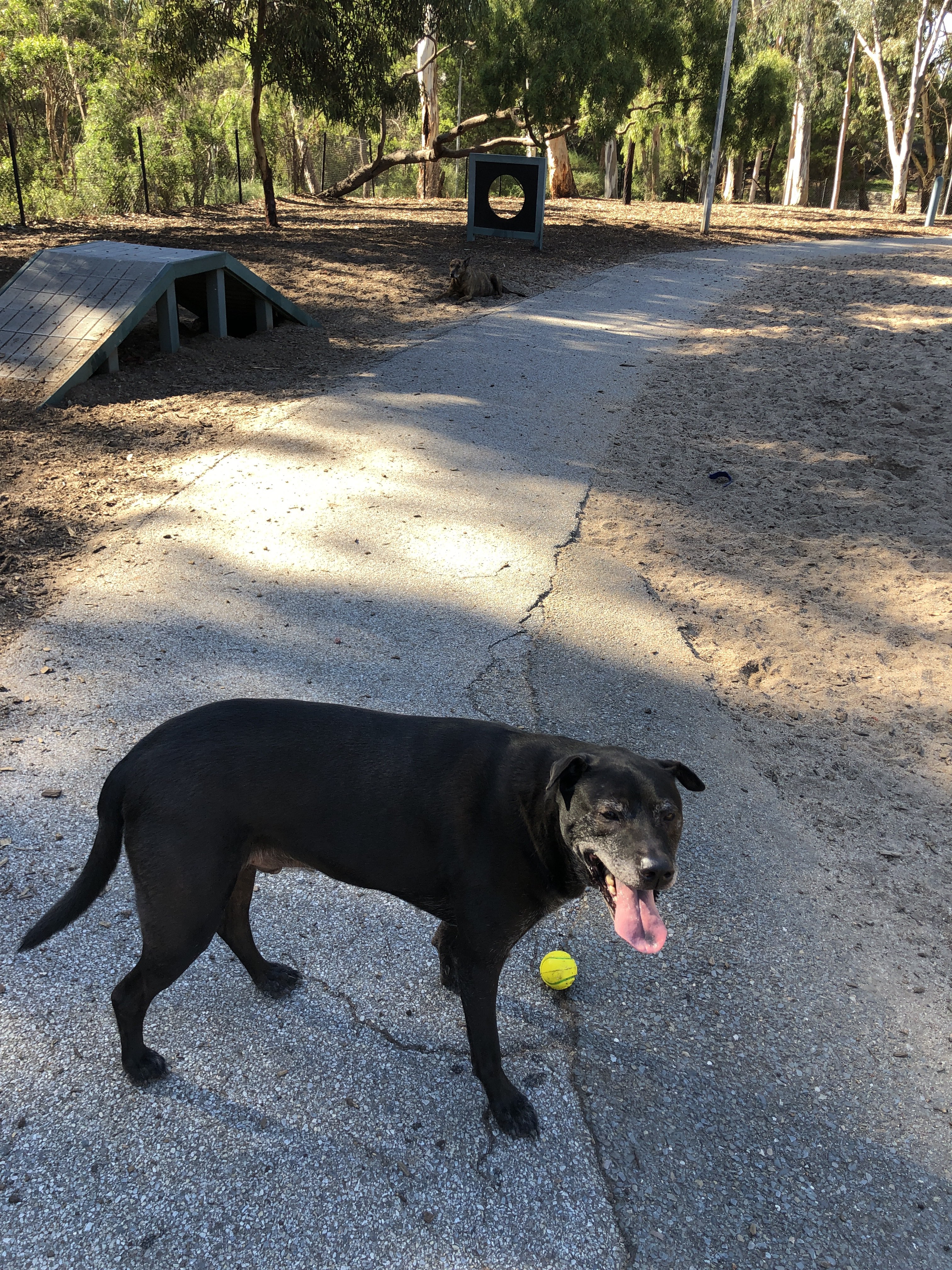 Pooch Park Tedder Reserve